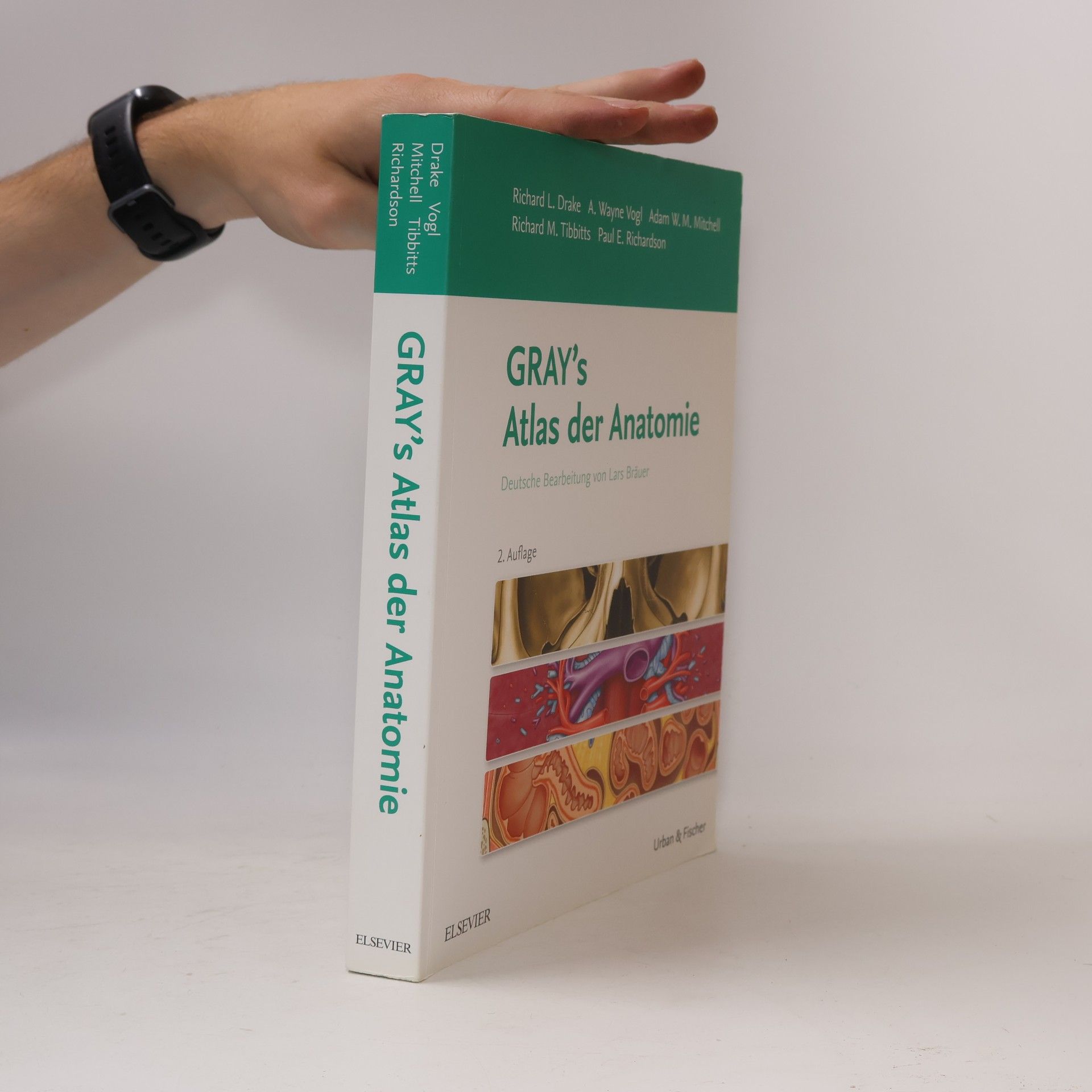 Richard L. Drake Gray's Atlas der Anatomie