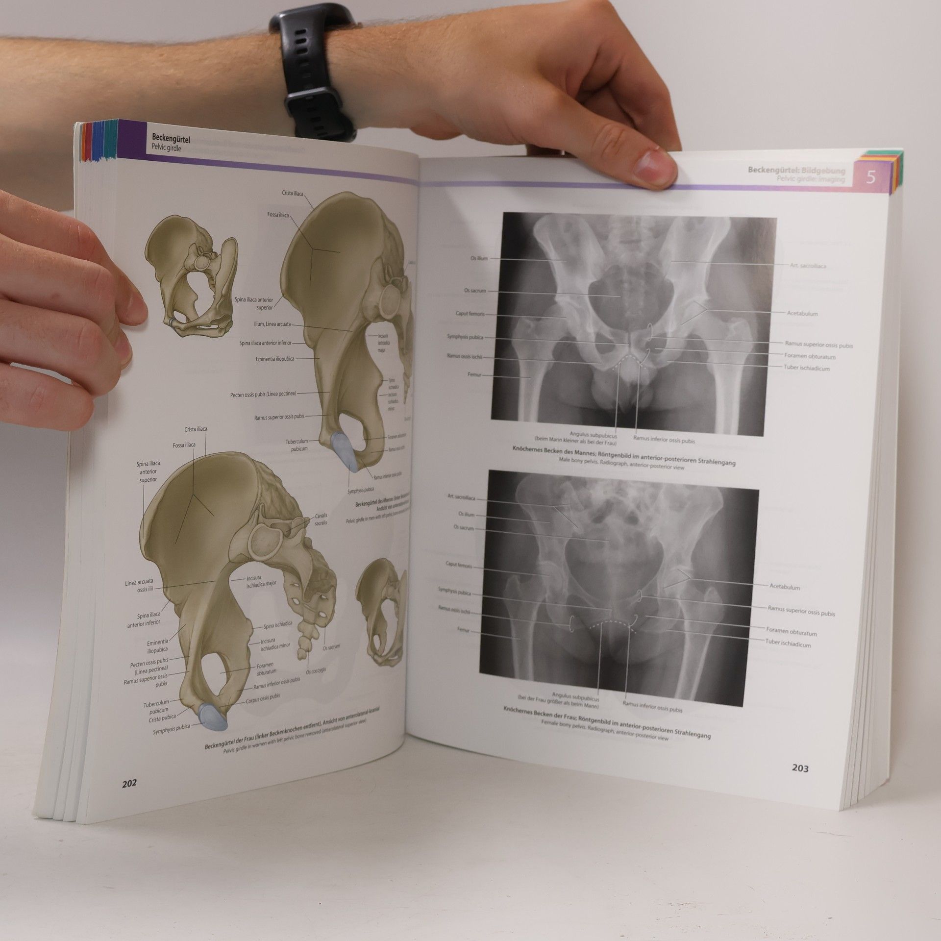 Richard L. Drake Gray's Atlas der Anatomie