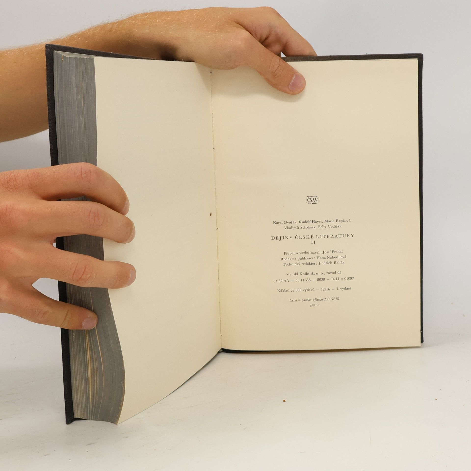 Karel Dvořák Dějiny české literatury II