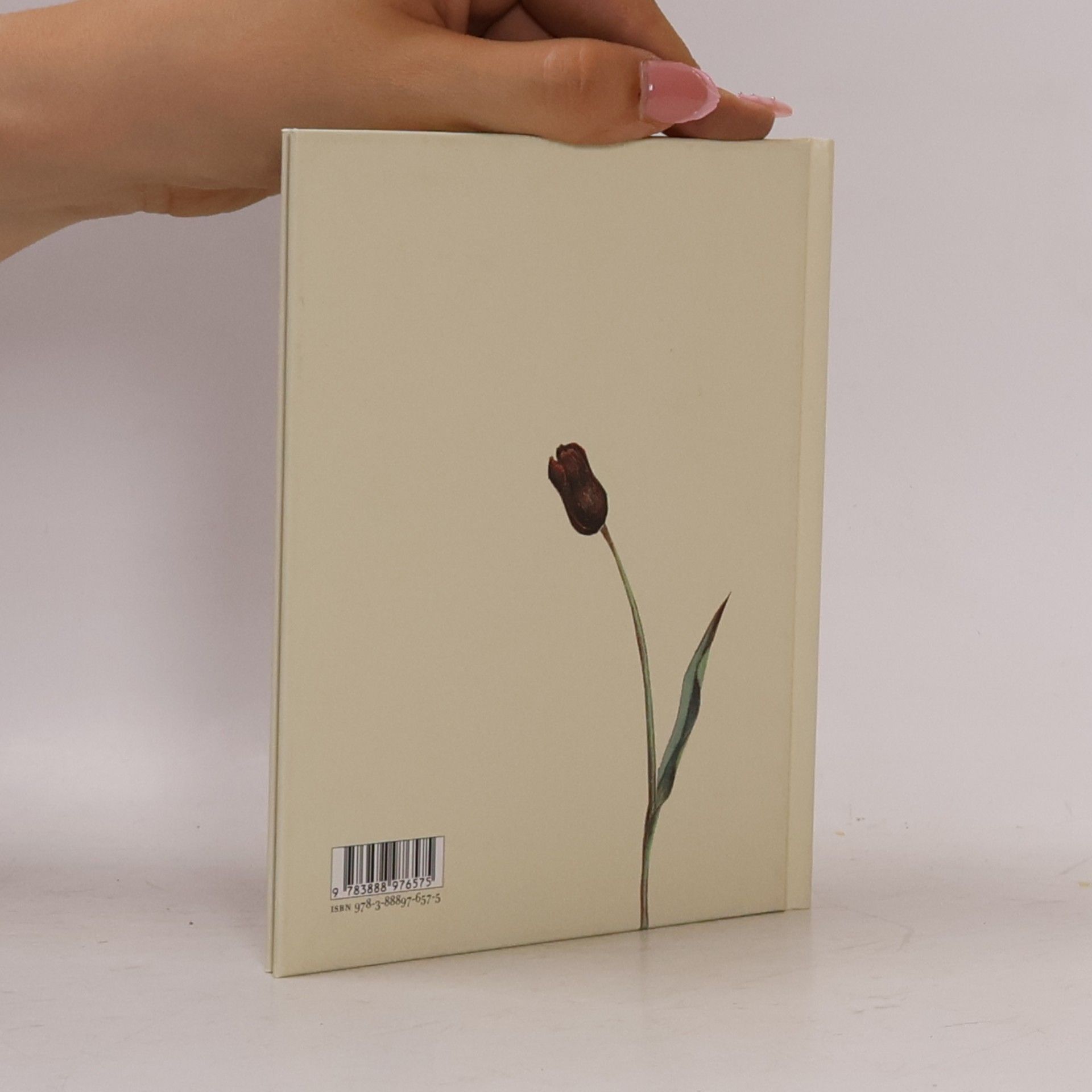 Wolf Erlbruch Ente, Tod und Tulpe, kleine Ausgabe