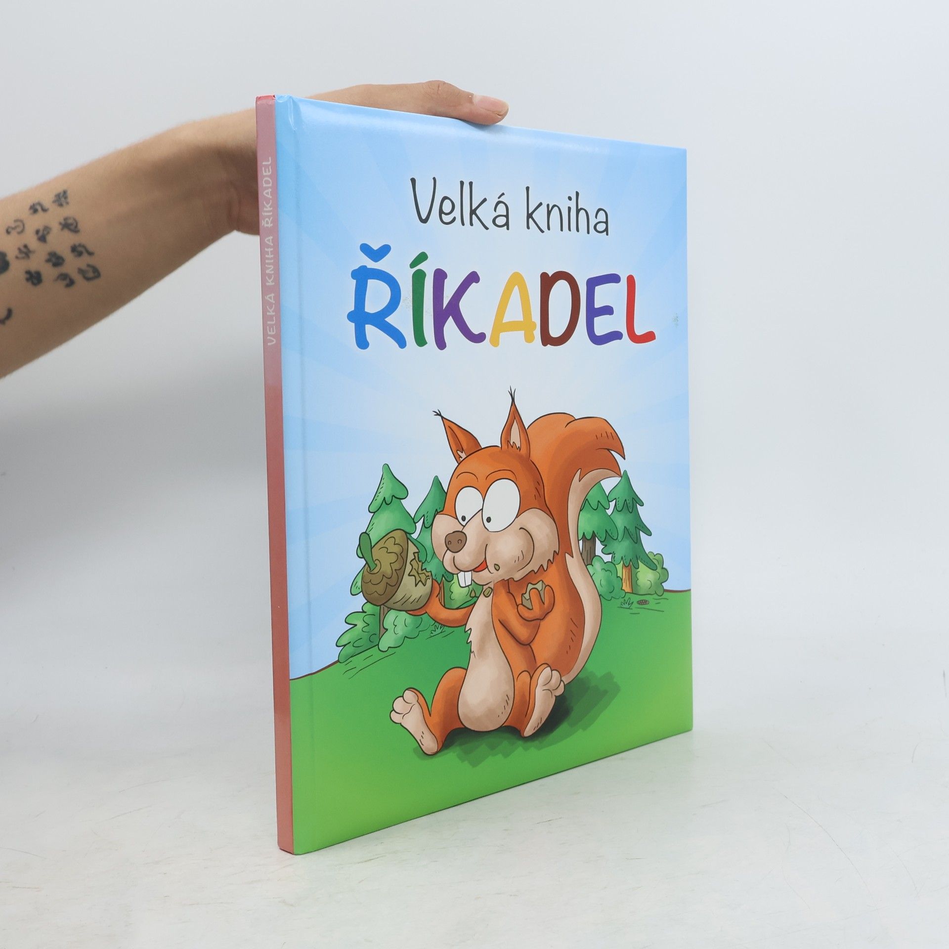 Autorenkollektiv Velká kniha říkadel