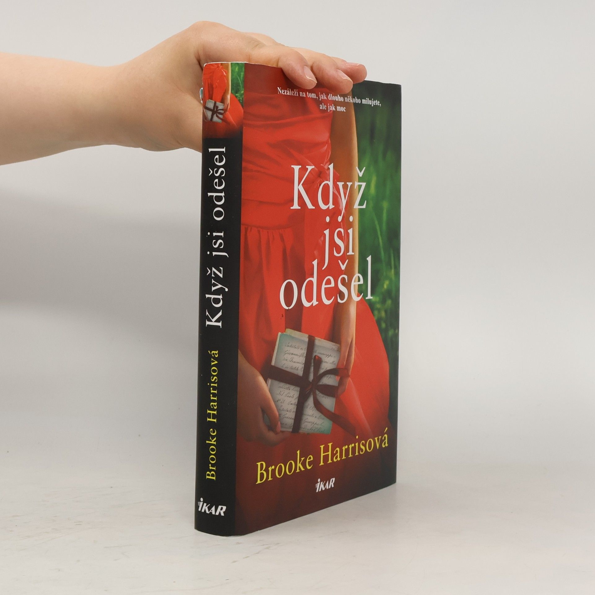 Brooke Harris Když jsi odešel
