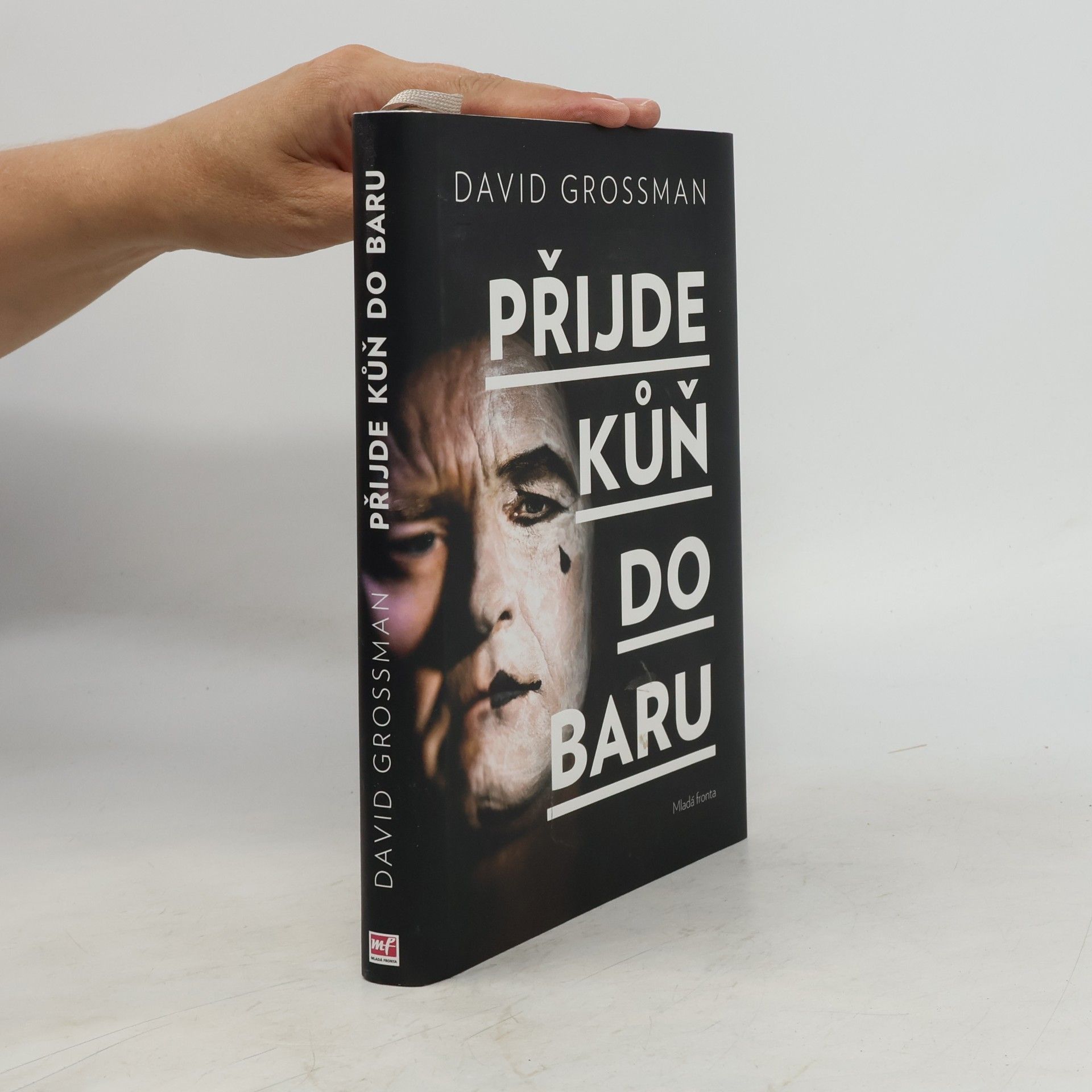 David Grossman Přijde kůň do baru