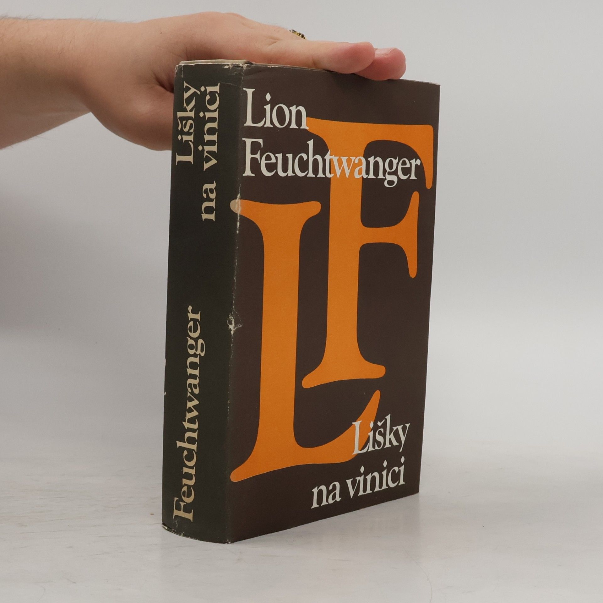 Lion Feuchtwanger Lišky na vinici