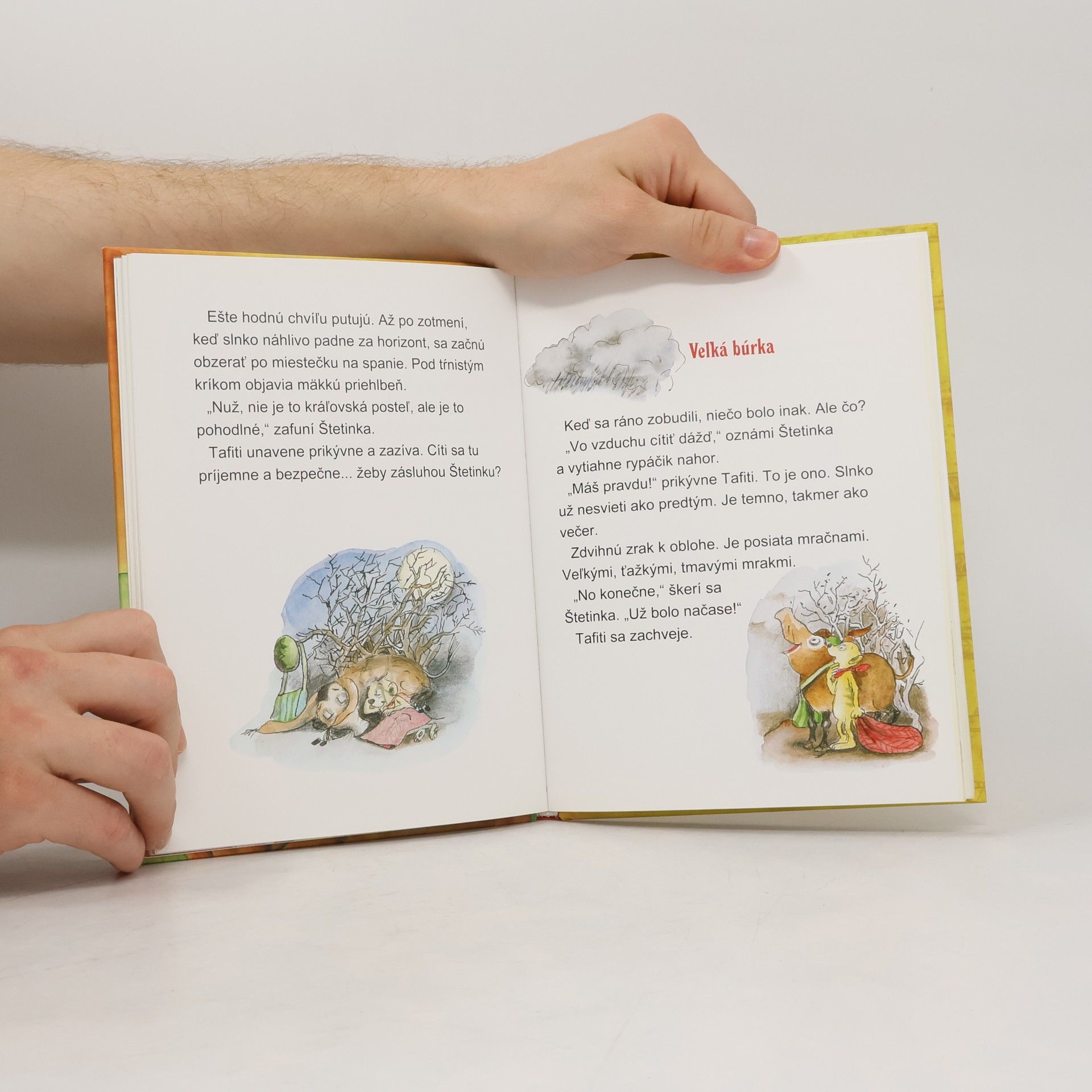 Julia Boehme Tafiti a cesta na koniec sveta