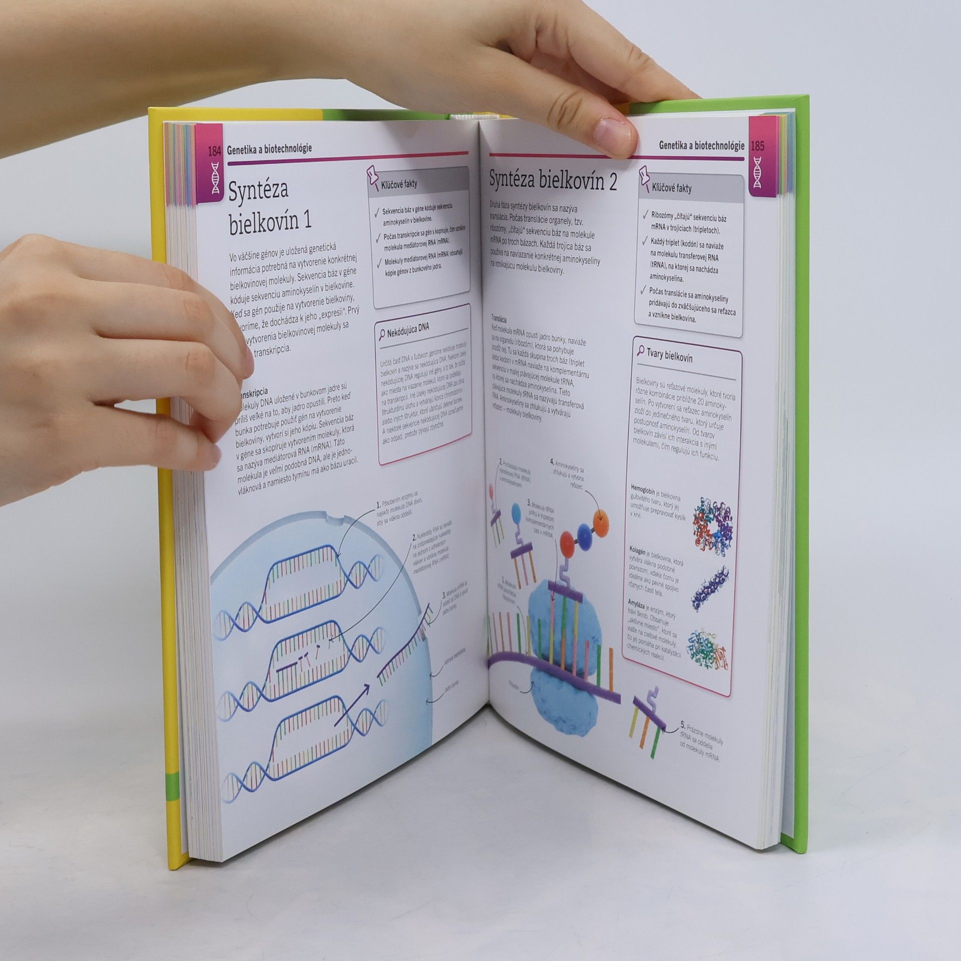 Autores varios Superjednoduchá biológia