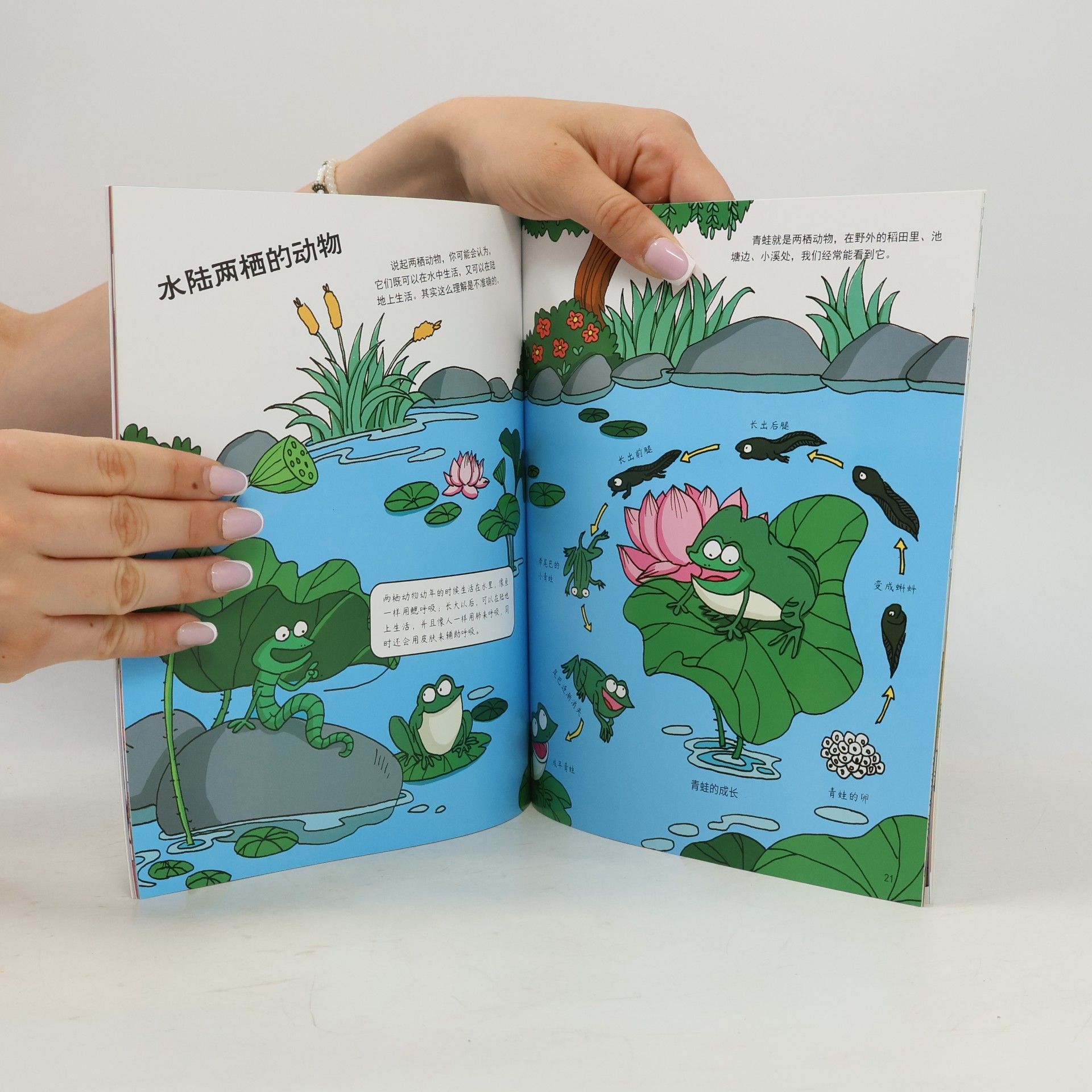Autorenkollektiv 疯狂的生物
