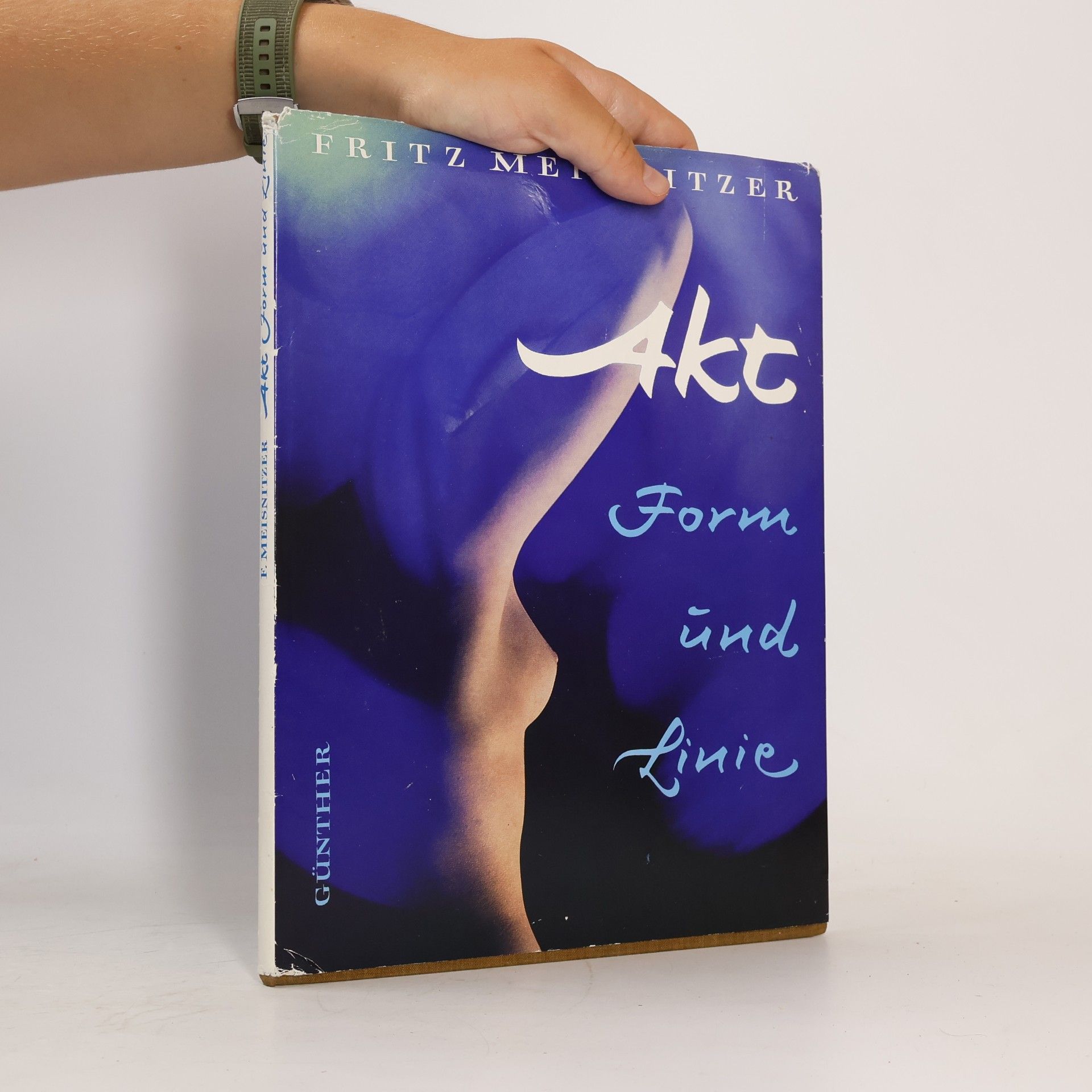 Akt. Form und Linie