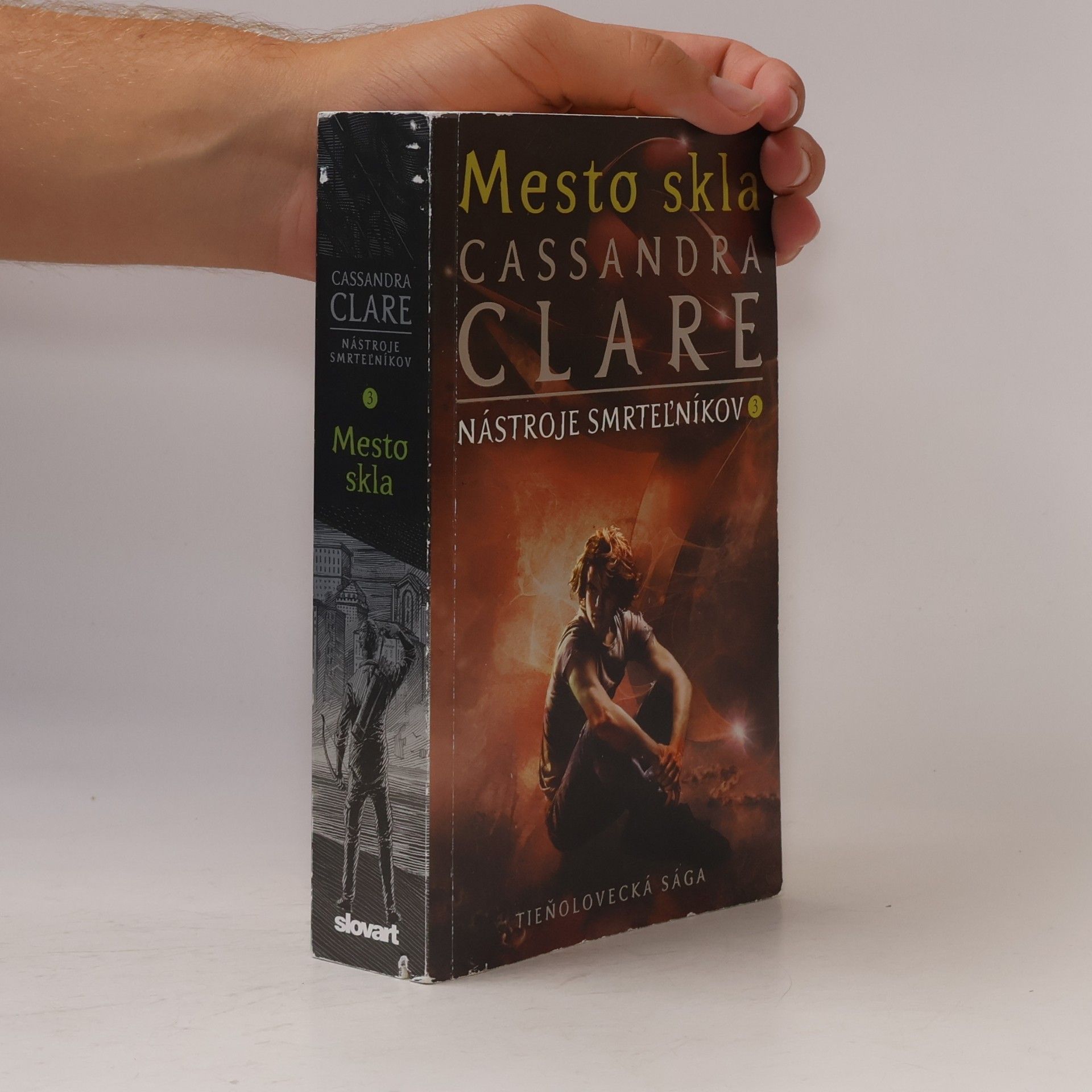 Cassandra Clare Mesto skla