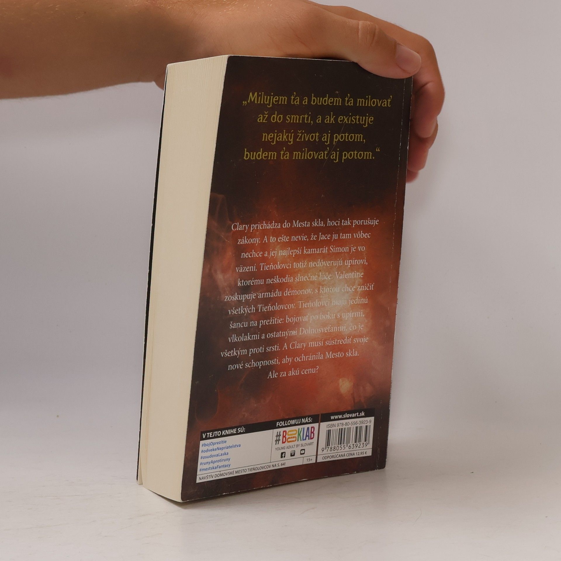 Cassandra Clare Mesto skla
