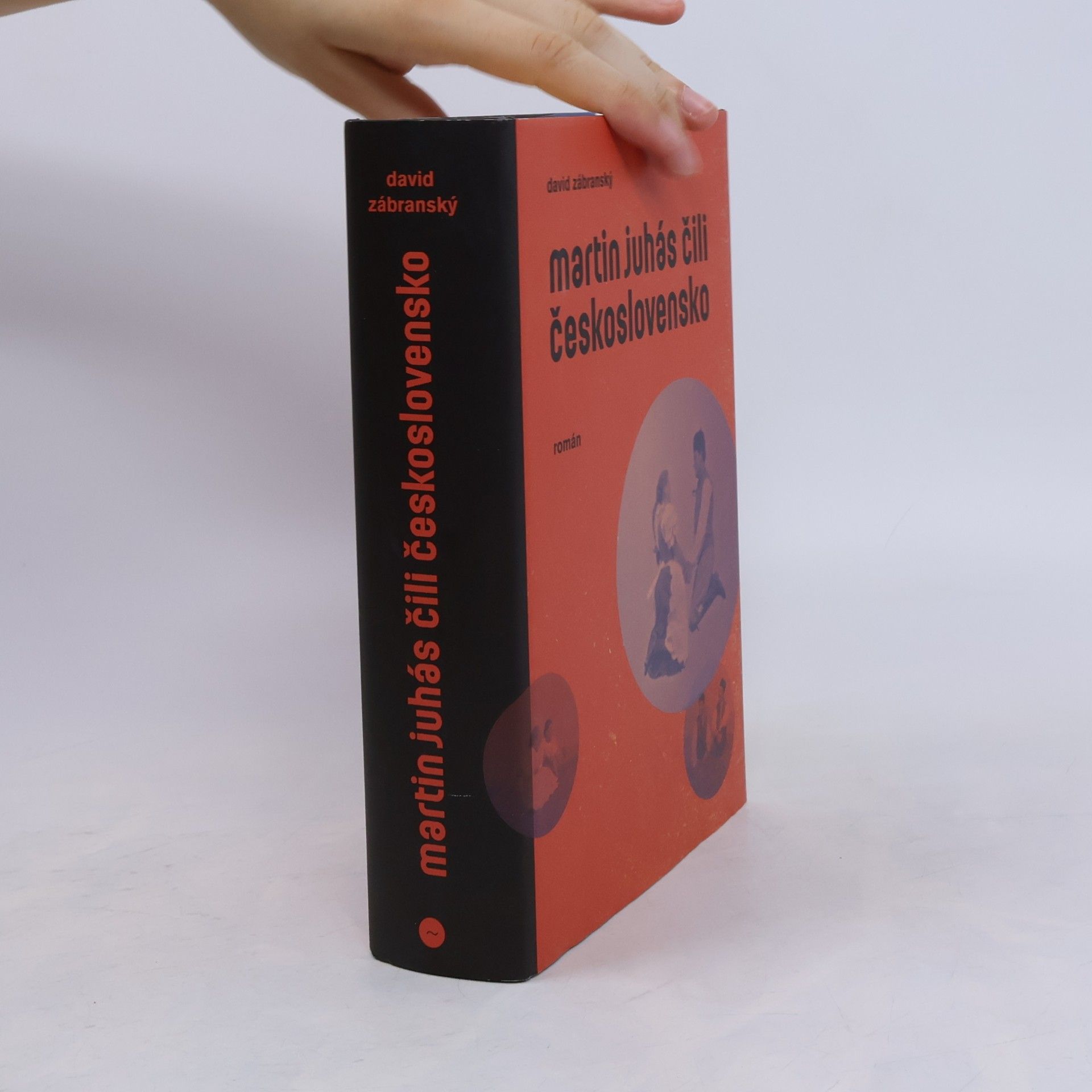 David Zábranský Martin Juhás, čili, Československo : román
