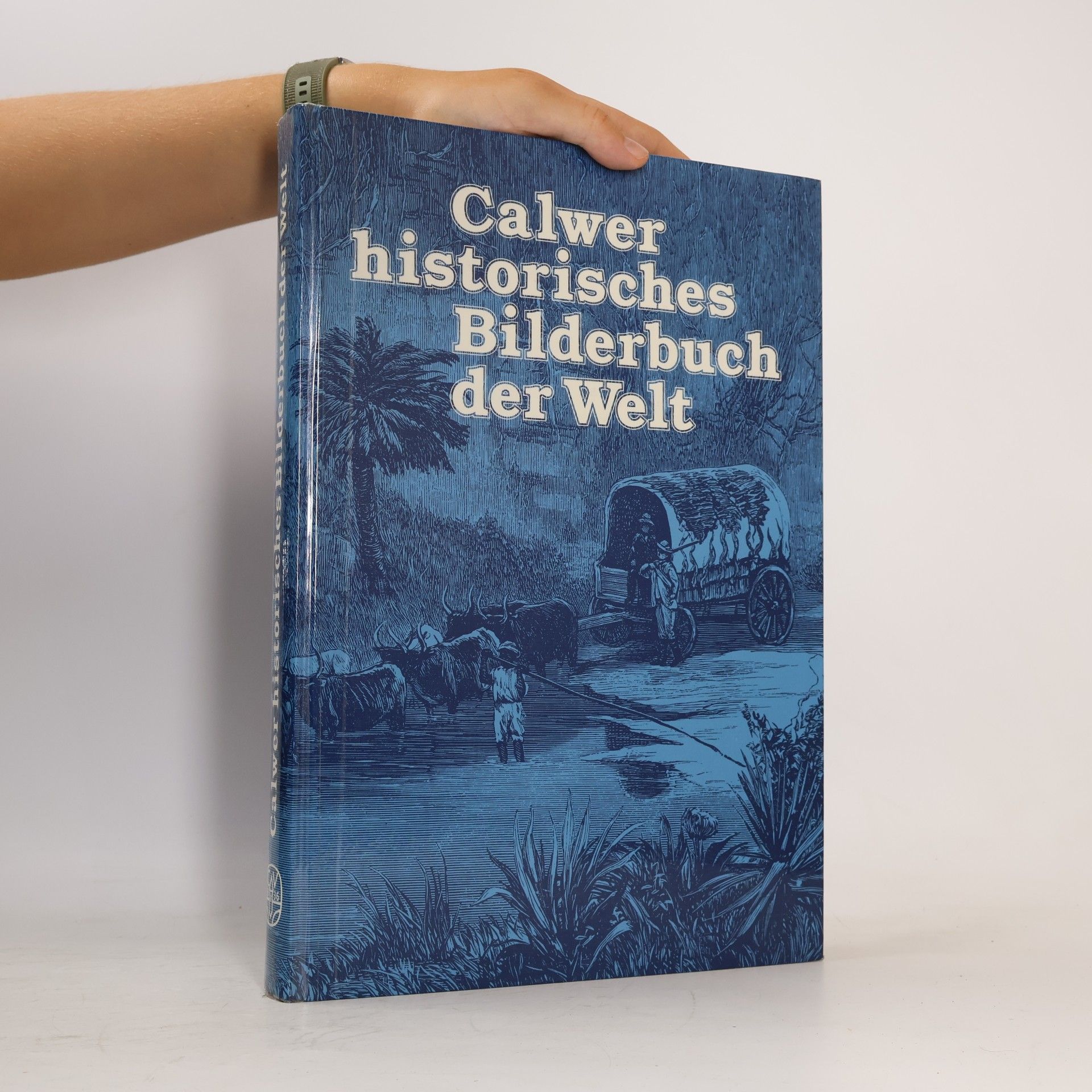 Various authors Bilder-Tafeln zur Länder- und Völker-Kunde mit besonderer Berücksichtigung der evangelischen Missionsarbeit