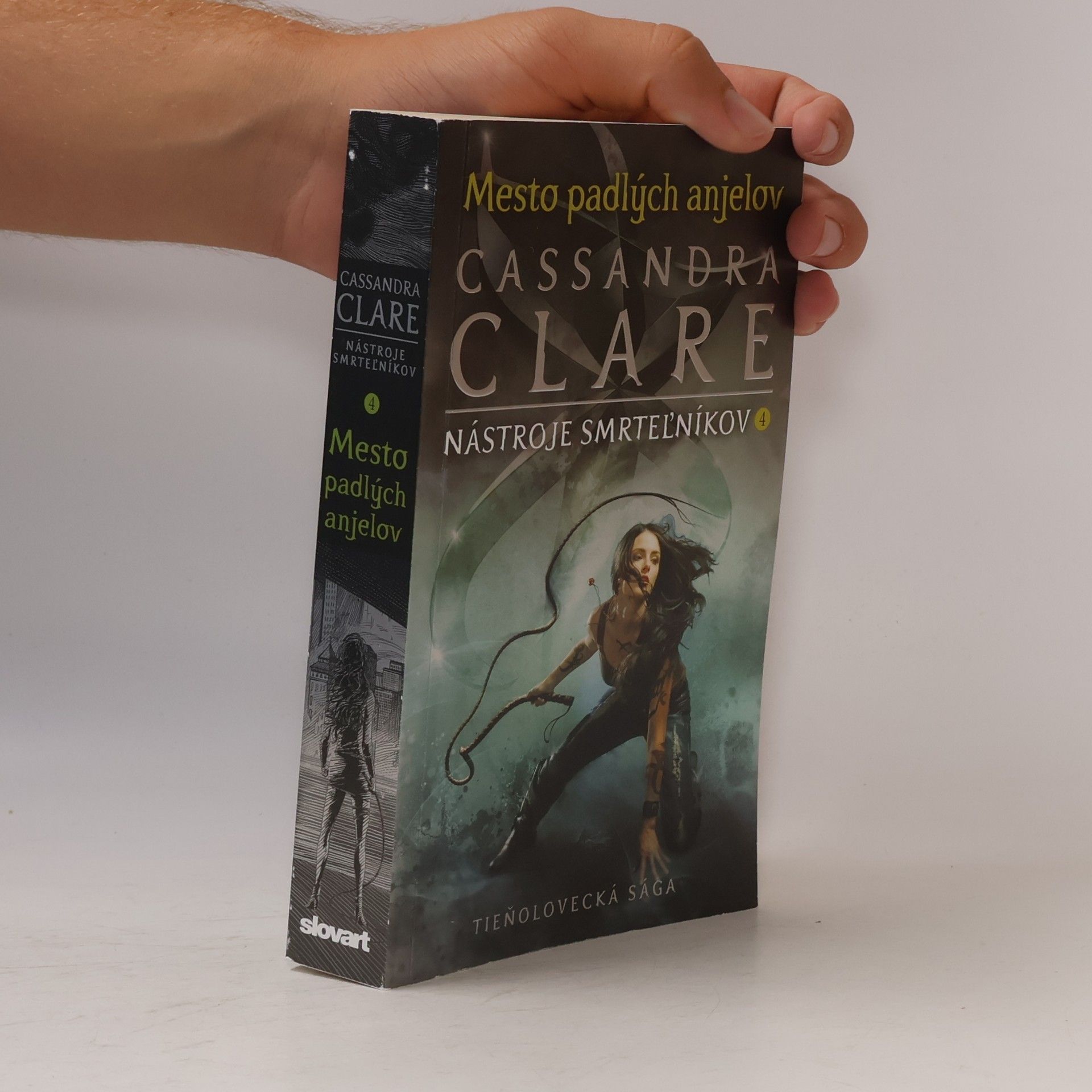 Cassandra Clare Mesto padlých anjelov