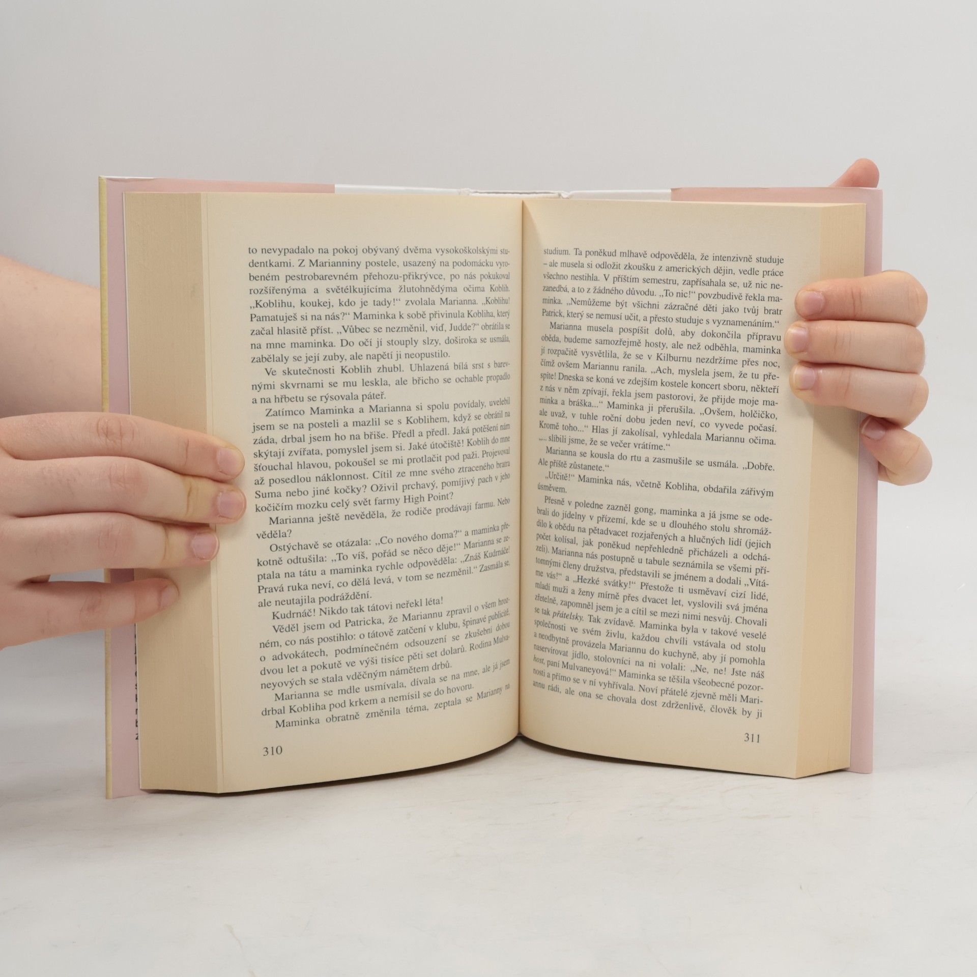 Joyce Carol Oates Sníh po Velikonocích