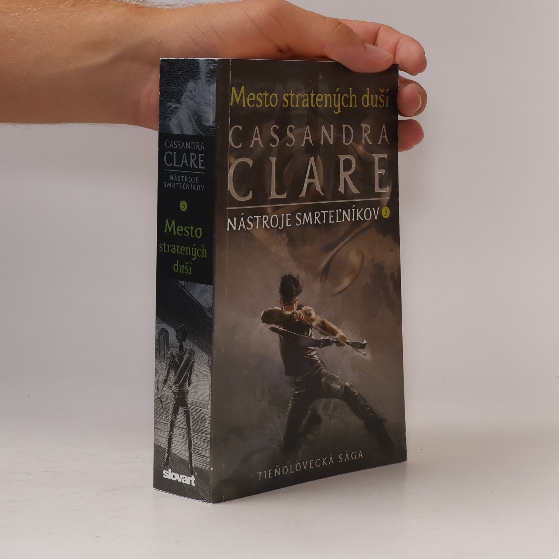 Cassandra Clare Mesto stratených duší