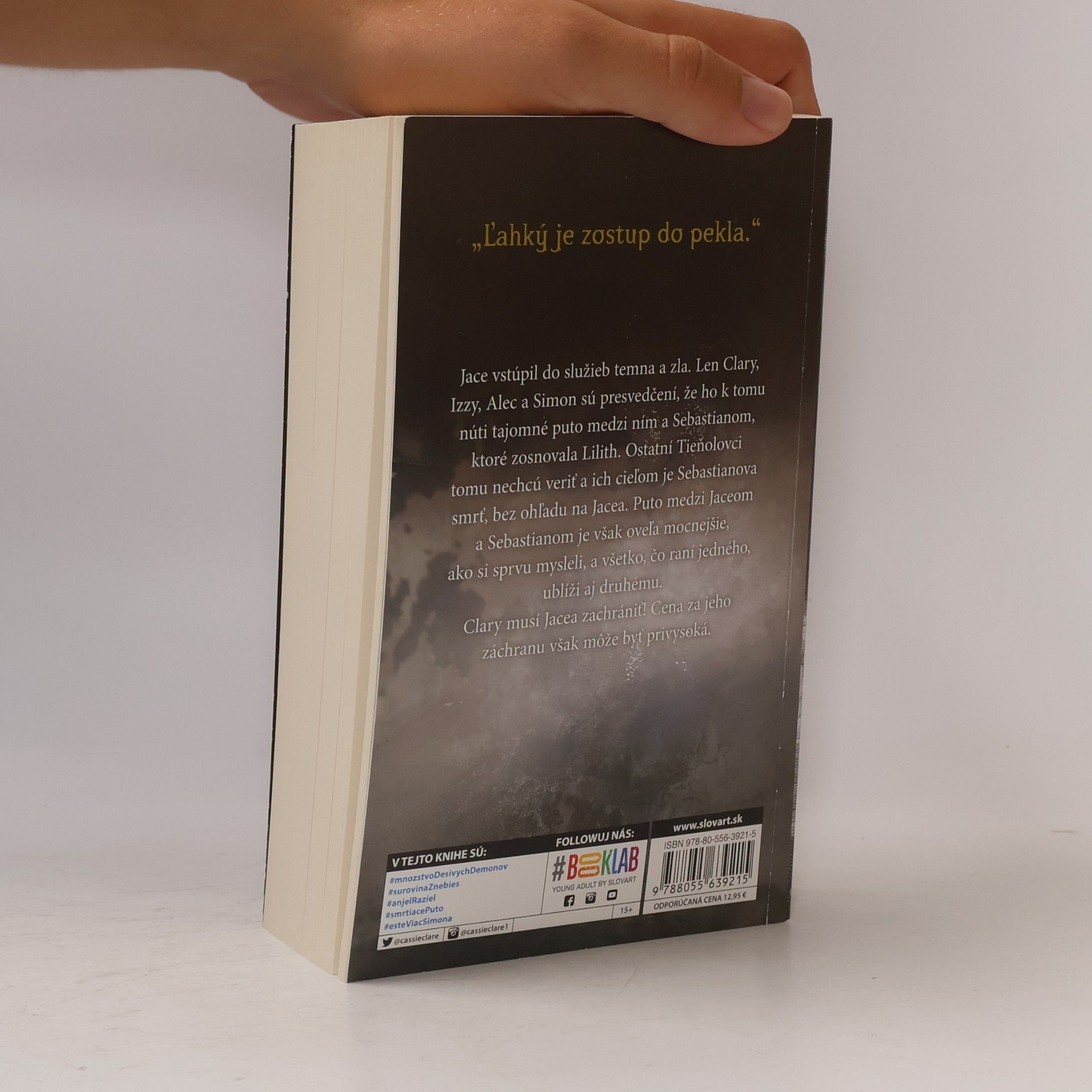 Cassandra Clare Mesto stratených duší