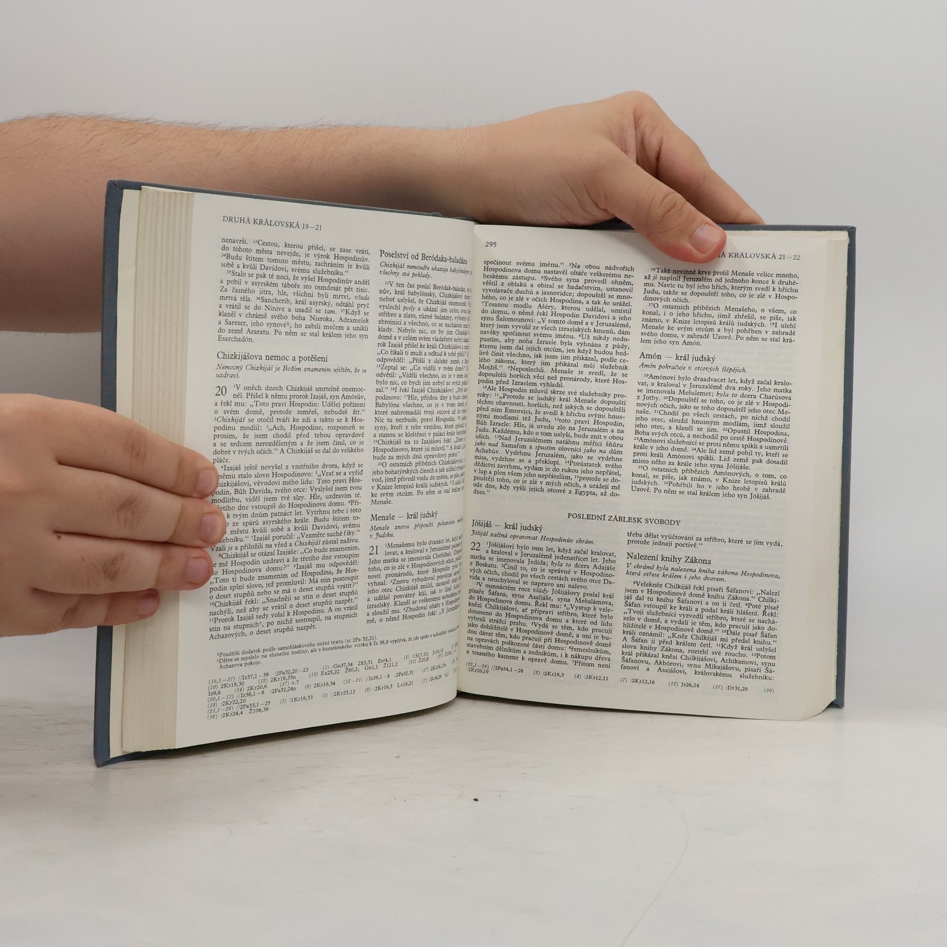 Autorenkollektiv Bible. Písmo svaté Starého a Nového zákona