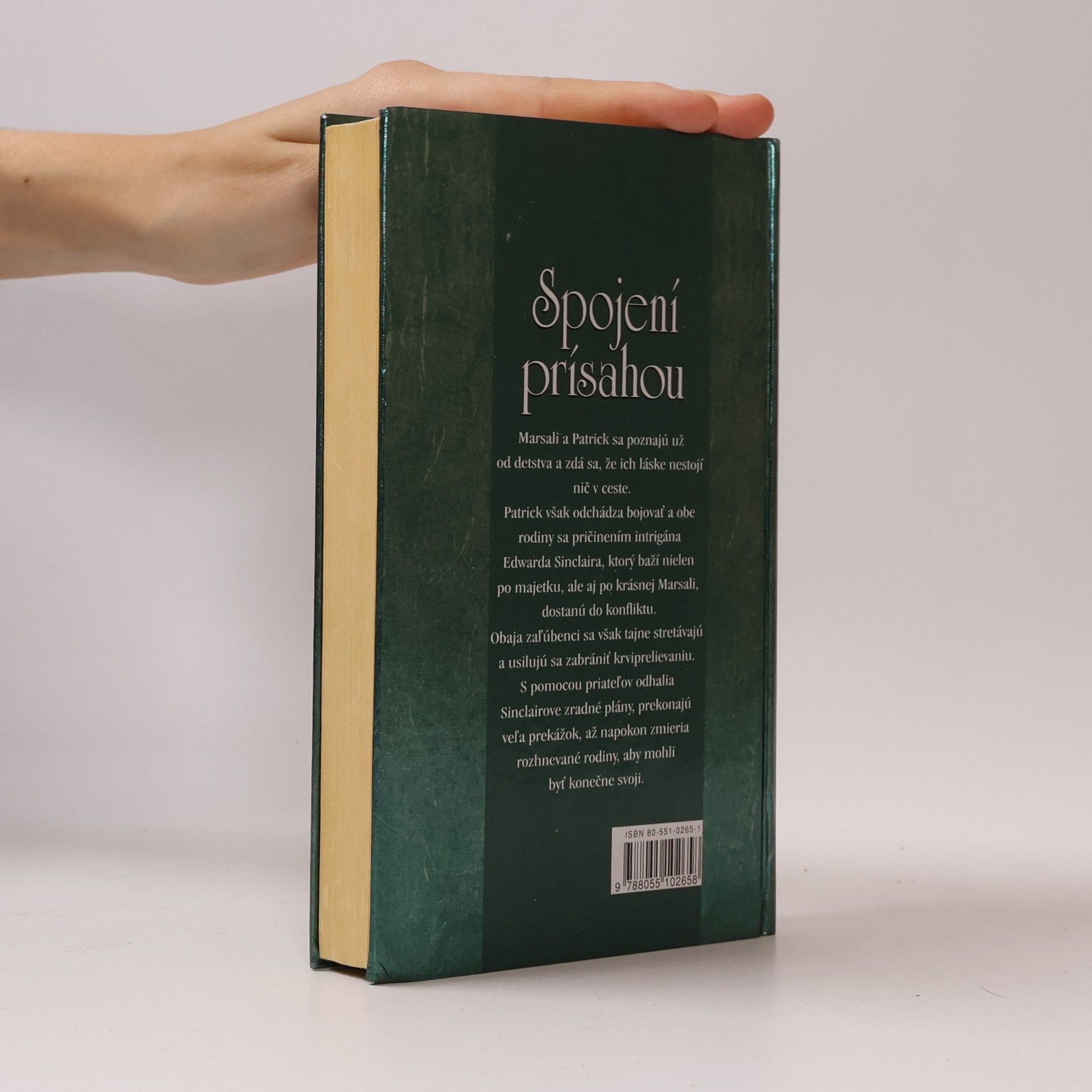 Patricia Potter Spojení prísahou