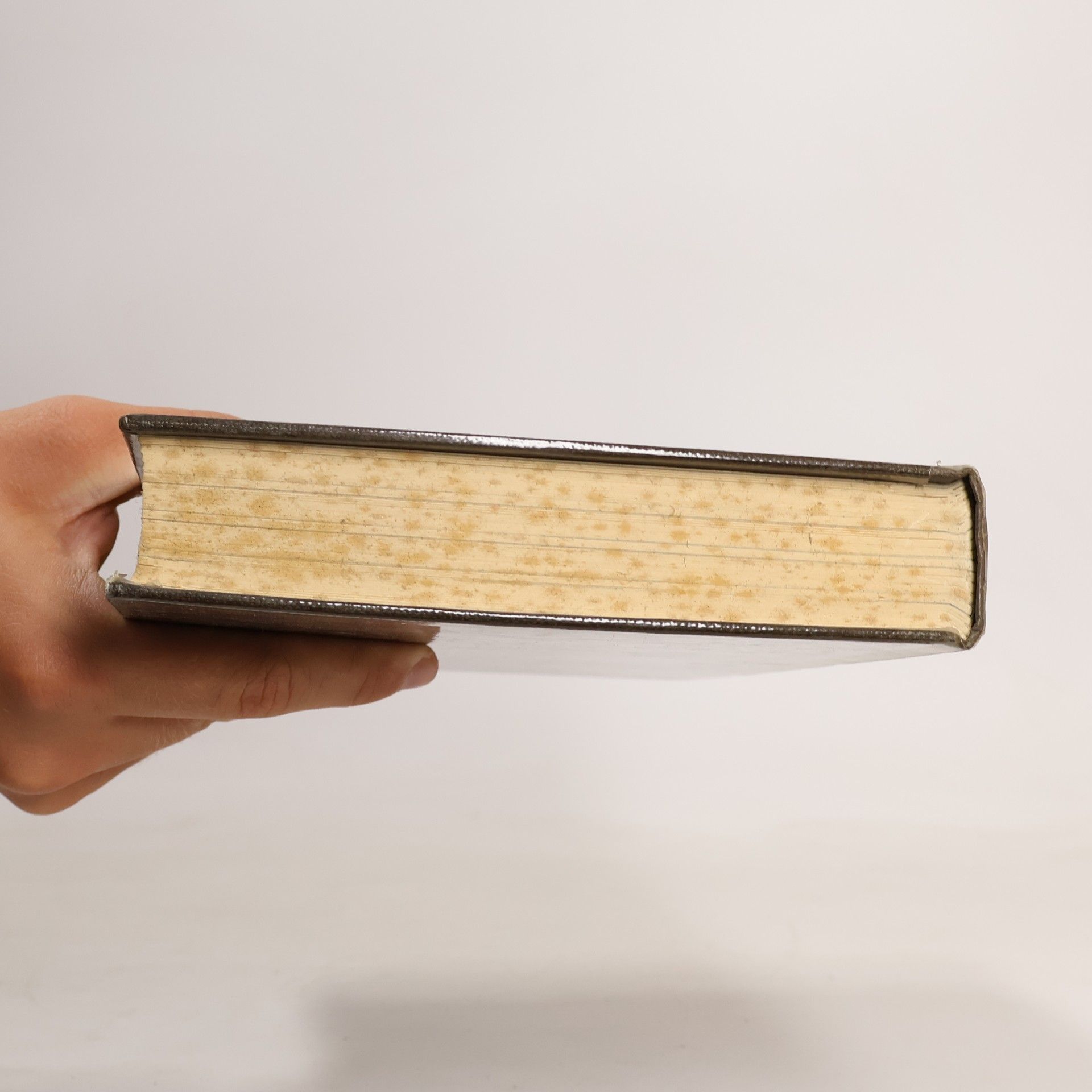 David Irving The Destruction of Dresden