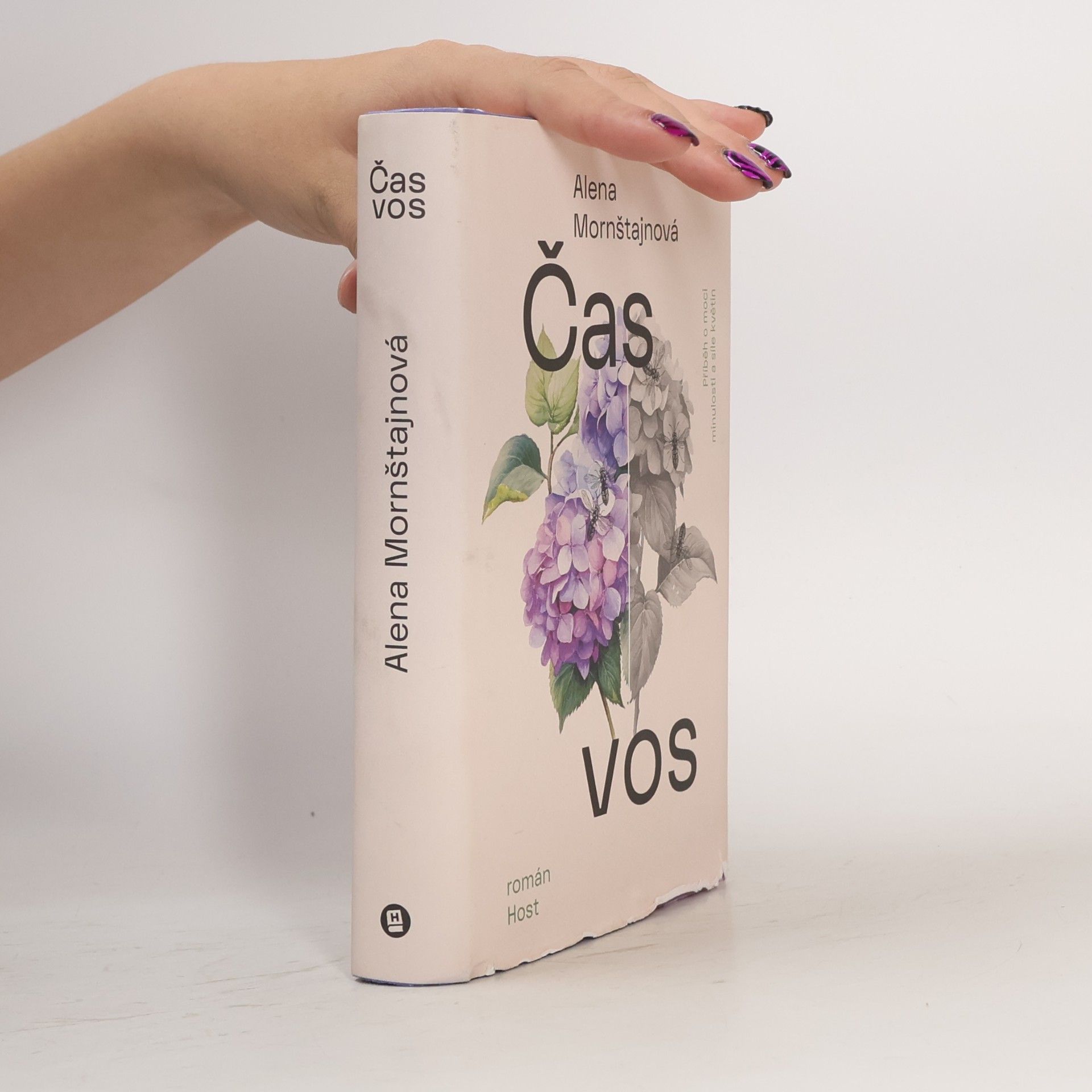 Čas vos