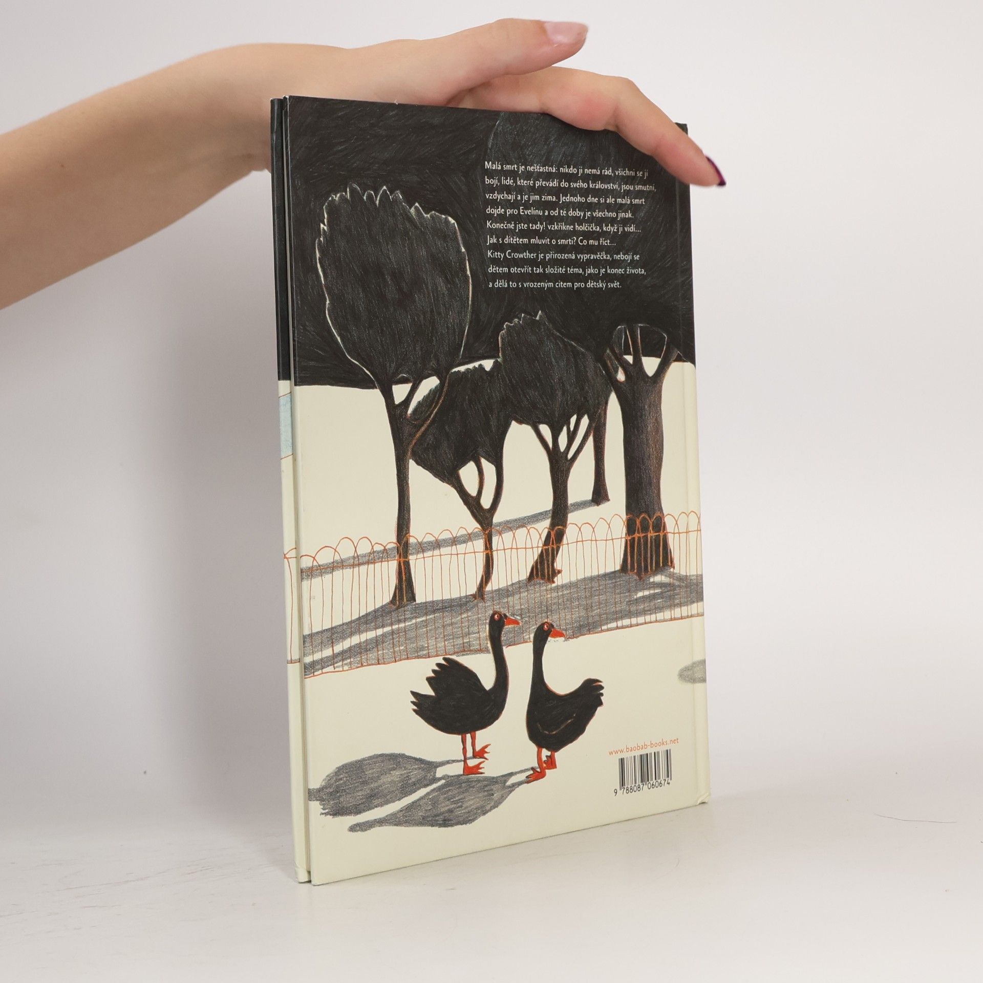 Kitty Crowther Návštěva malé smrti
