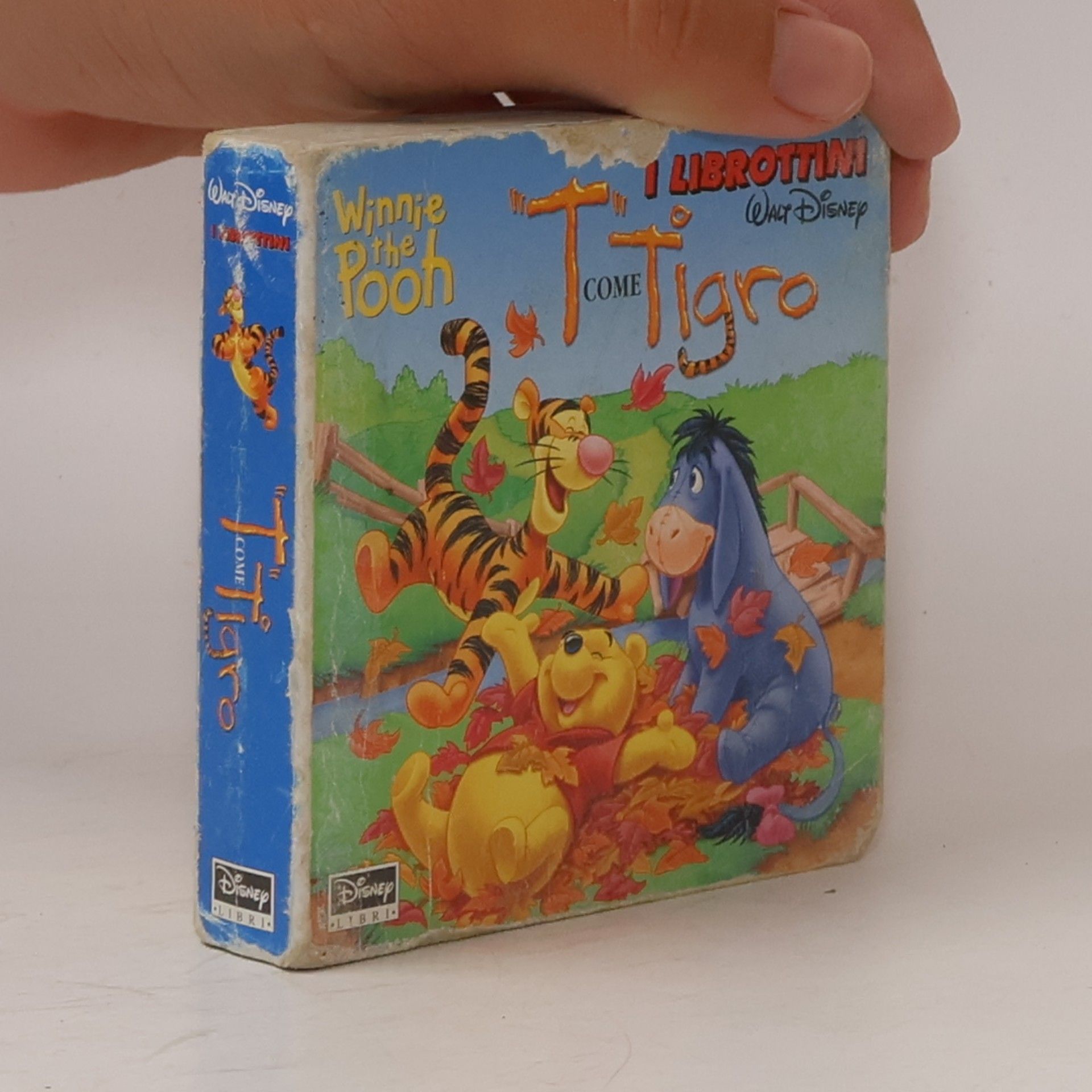Autorenkollektiv I Librottini: T come Tigro