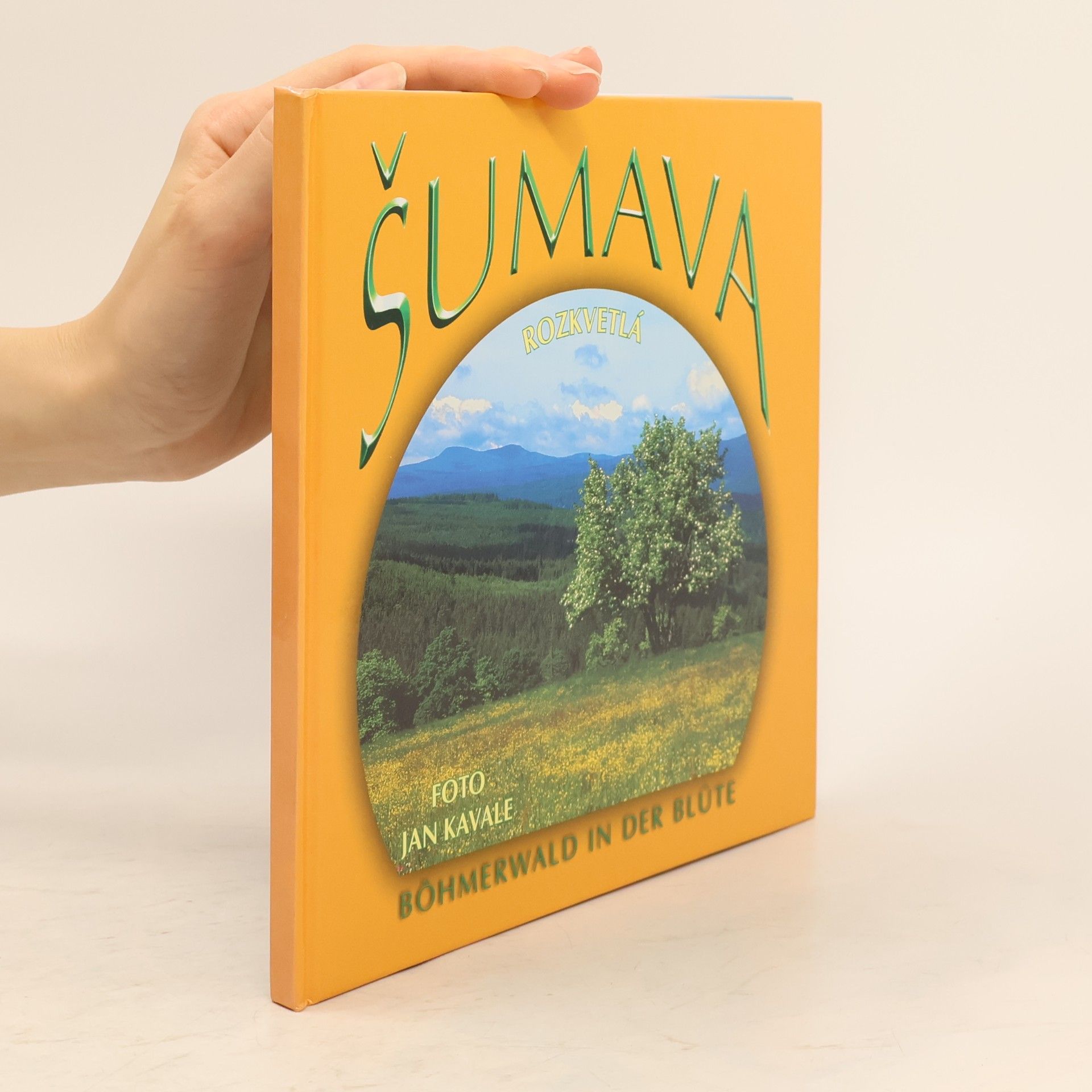 Šumava rozkvetlá. Böhmerwald in der Blüte