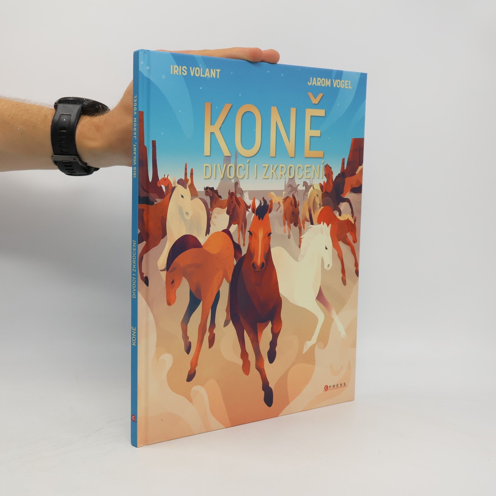 Jarom Vogel Koně: Divocí i zkrocení