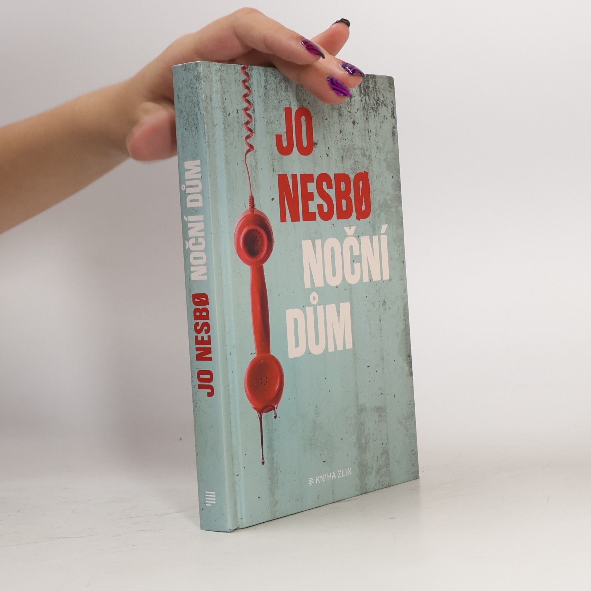 Jo Nesbø Noční dům
