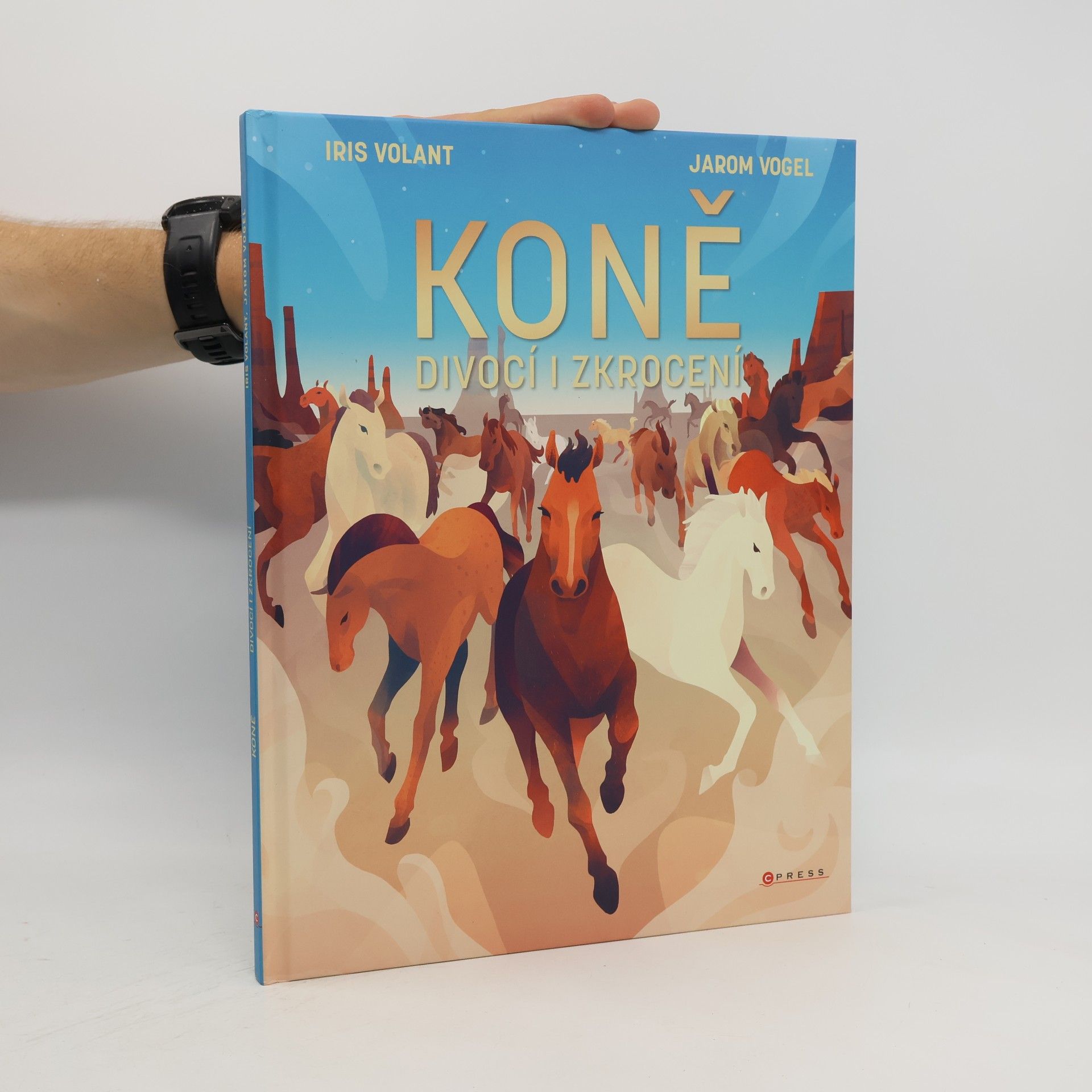 Jarom Vogel Koně: Divocí i zkrocení