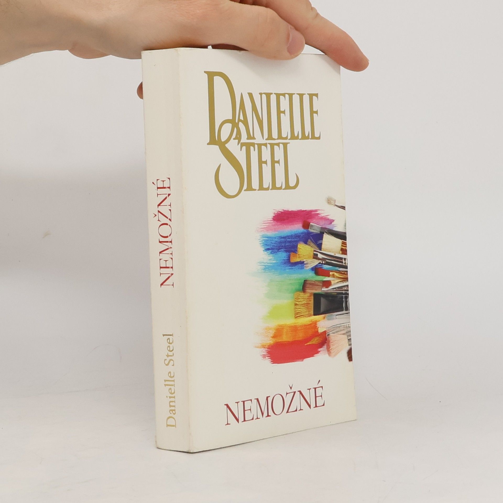 Danielle Steel Nemožné