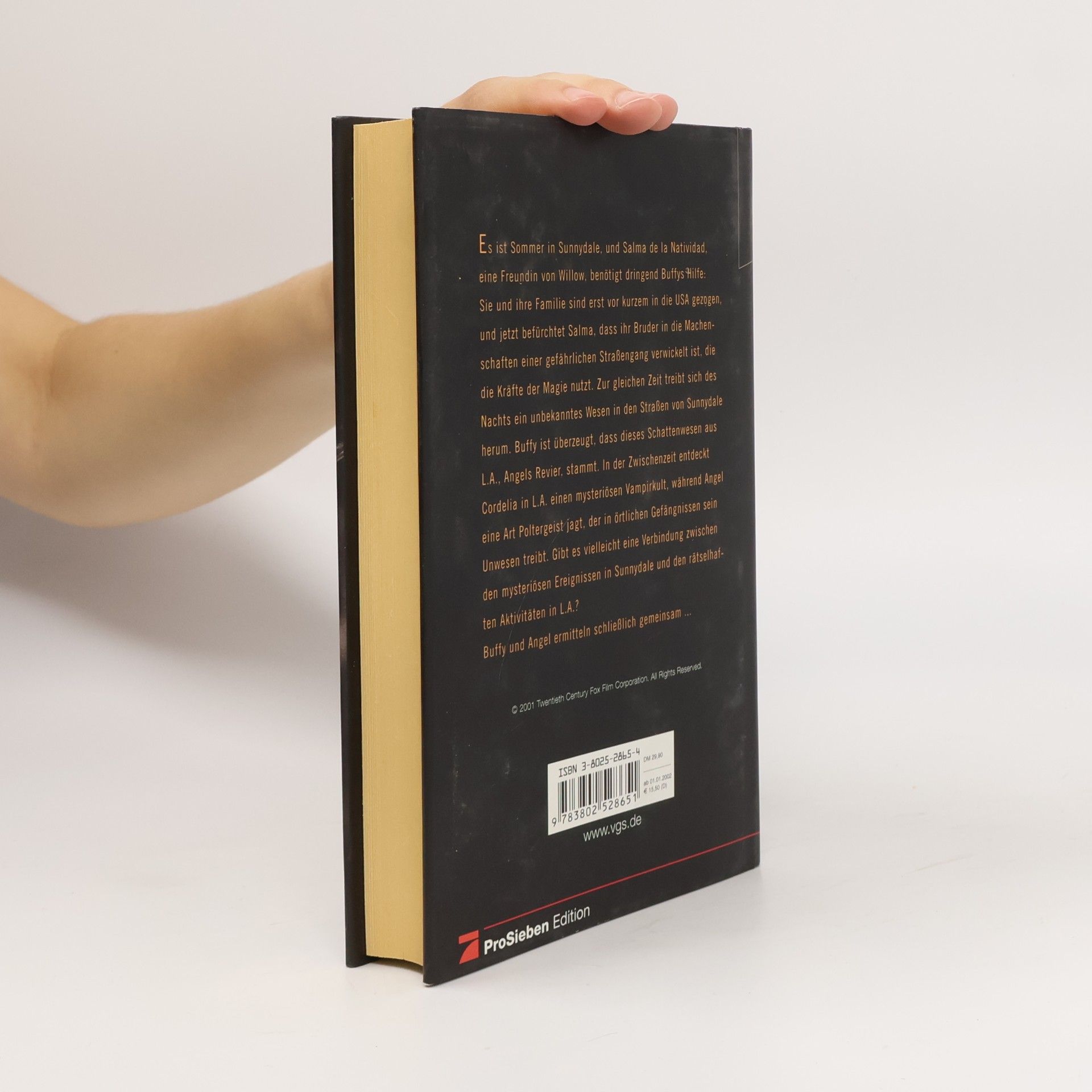 Nancy Holder Die geheime Geschichte. Buch.1. Das Reich der Schatten. Aus d. Amerikan. v. Antje Görnig
