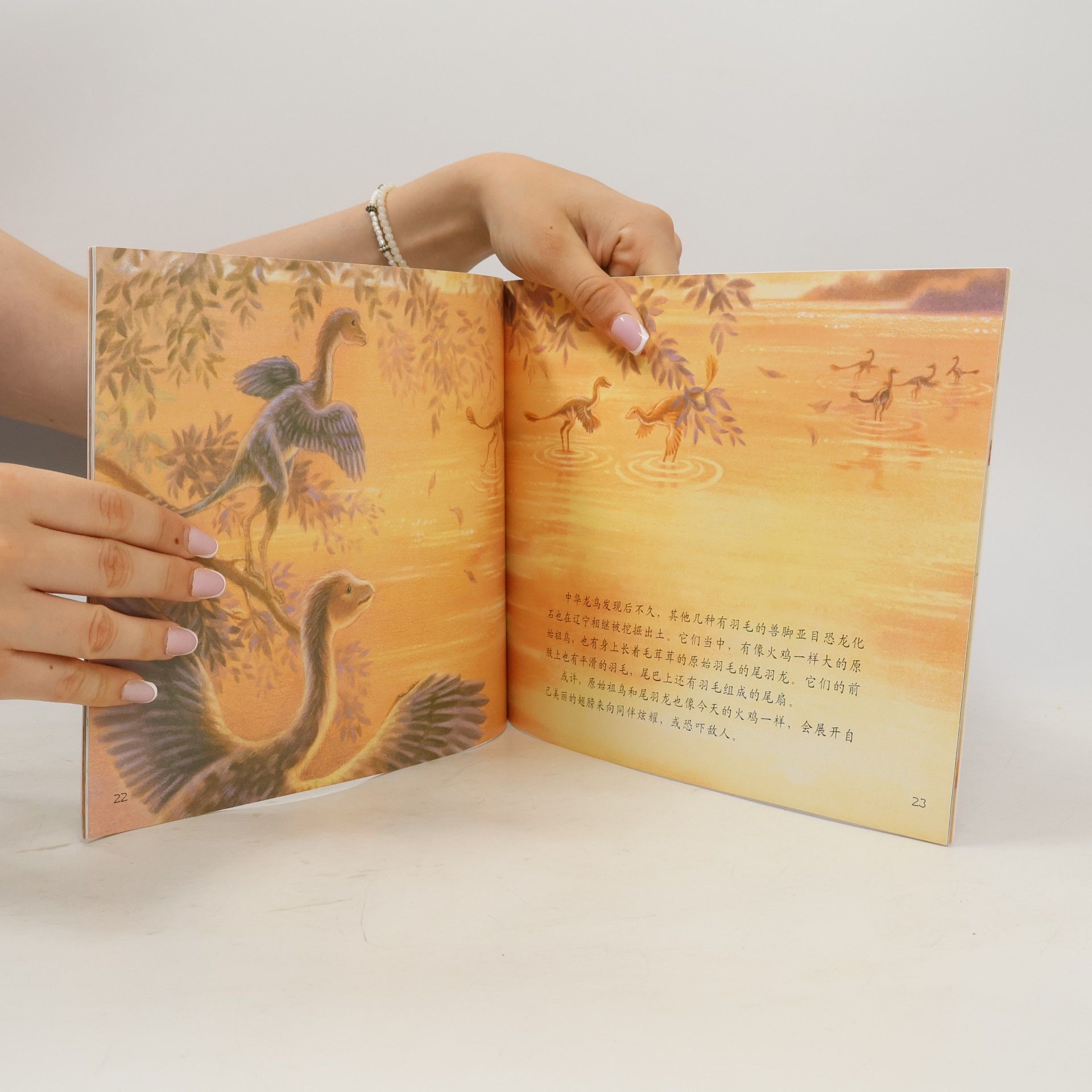 凯瑟琳·W.伊赛尔 LET'S READ-AND-FIND-OUT 'SCIENCE' / 自然科学启蒙 - 8: 恐龙有羽毛吗