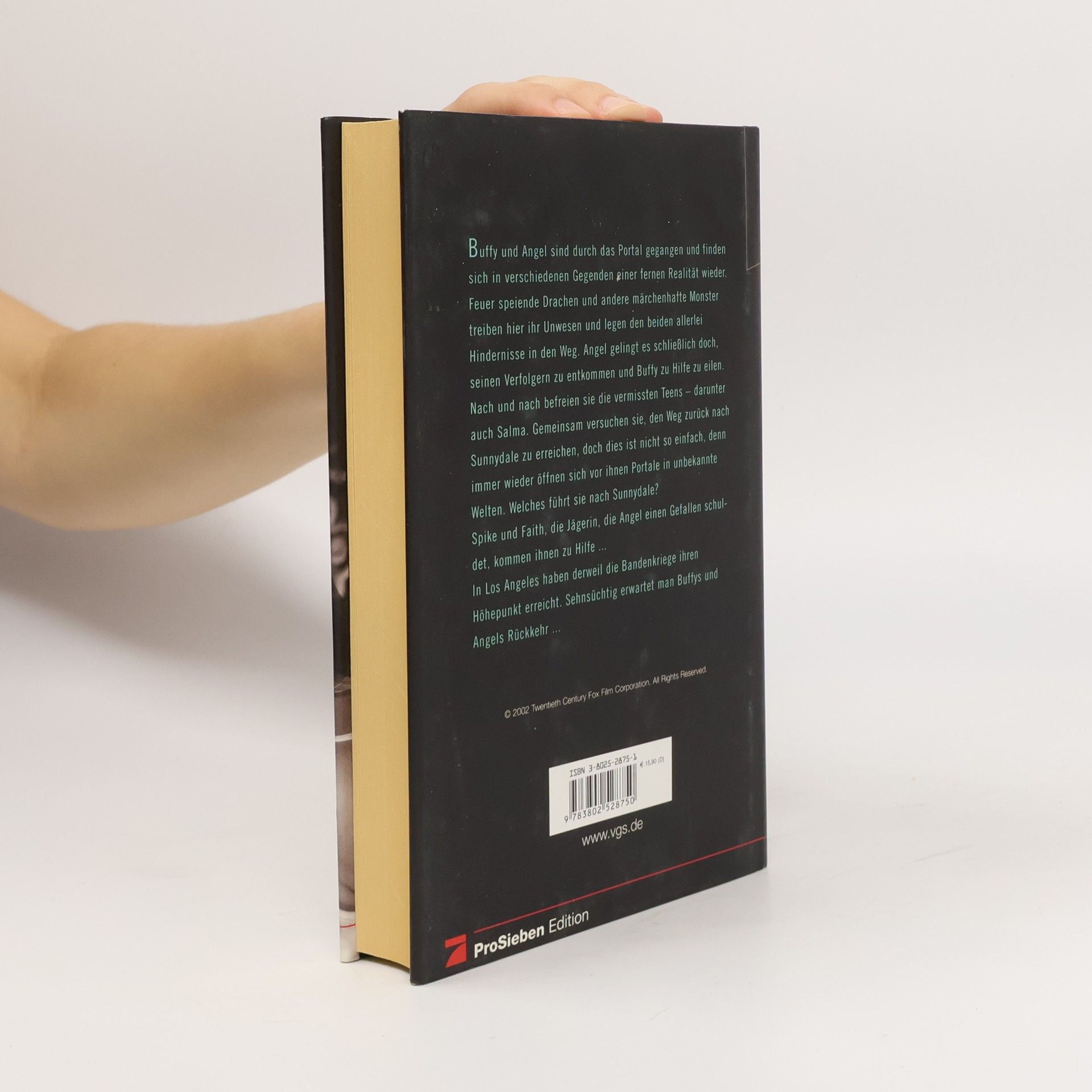 Nancy Holder Die geheime Geschichte. Buch.3. Der lange Weg zurück. Aus d. Amerikan. v. Antje Görnig