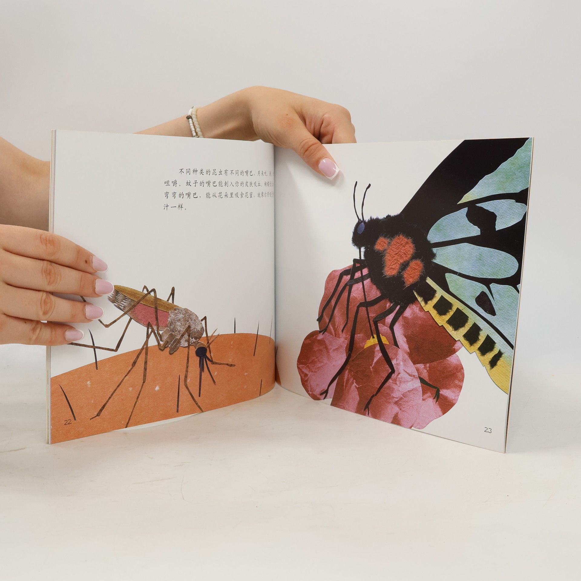 Anne Rockwell LET'S READ-AND-FIND-OUT SCIENCE / 自然科学启蒙 - 1: 认识昆虫