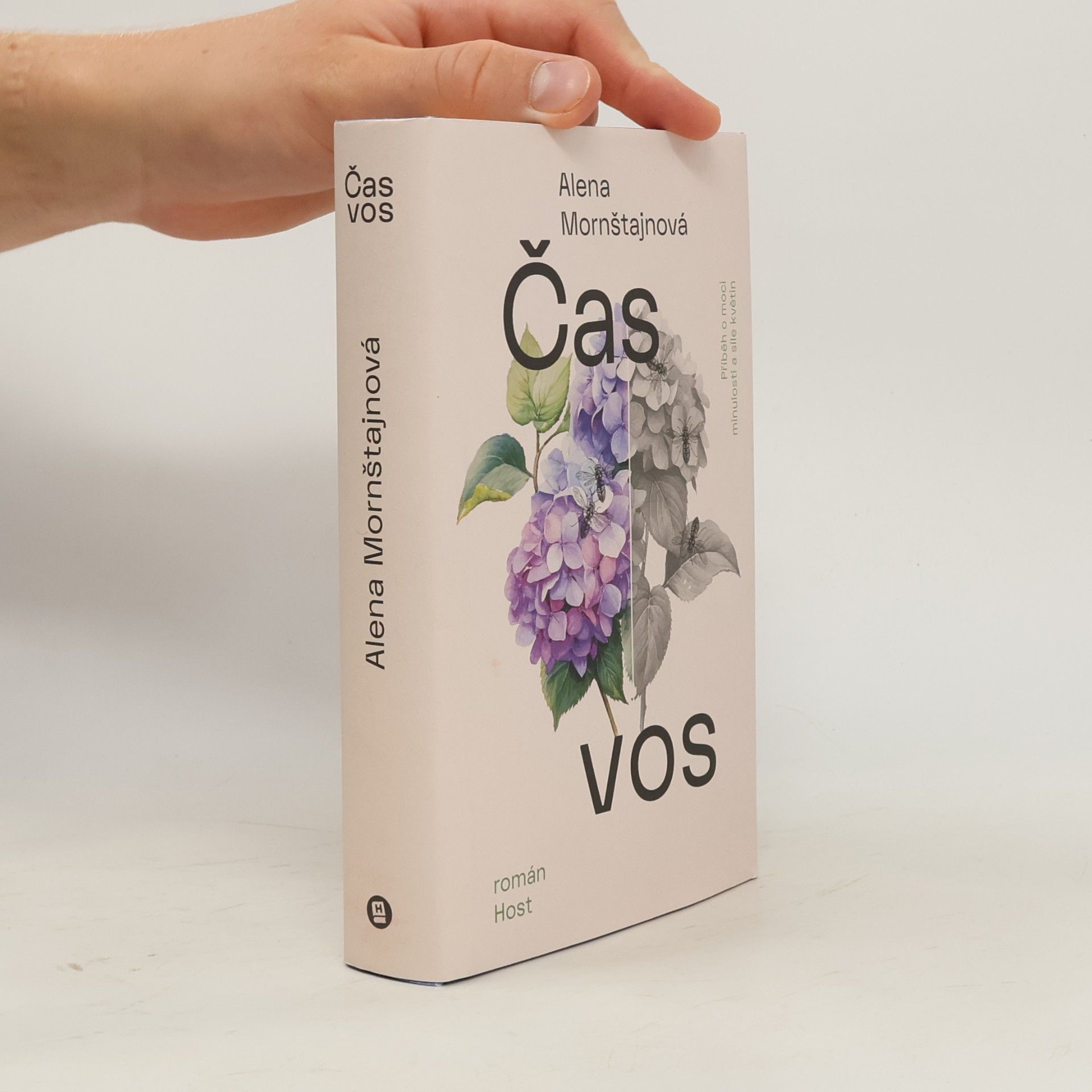 Čas vos
