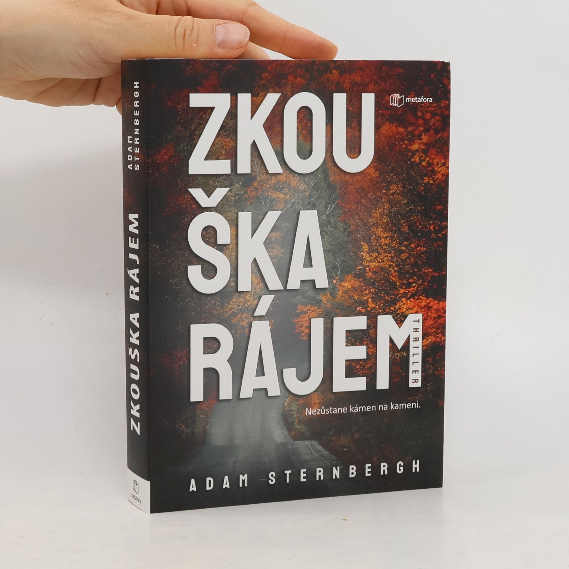 Adam Sternbergh Zkouška rájem