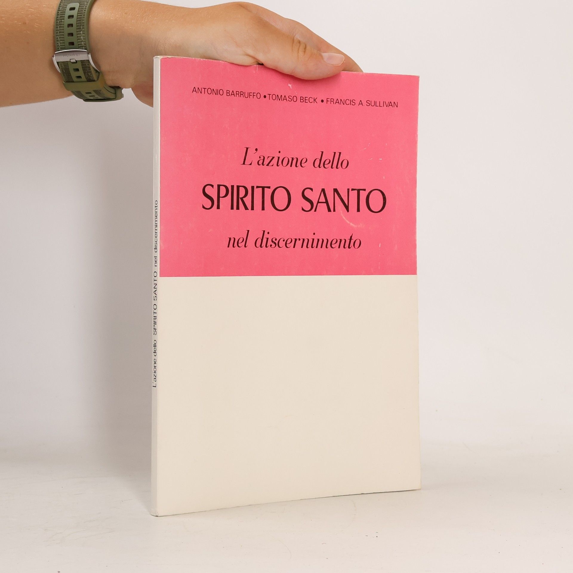 Thomaso Beck L'azione dello spirito santo nel discernimento