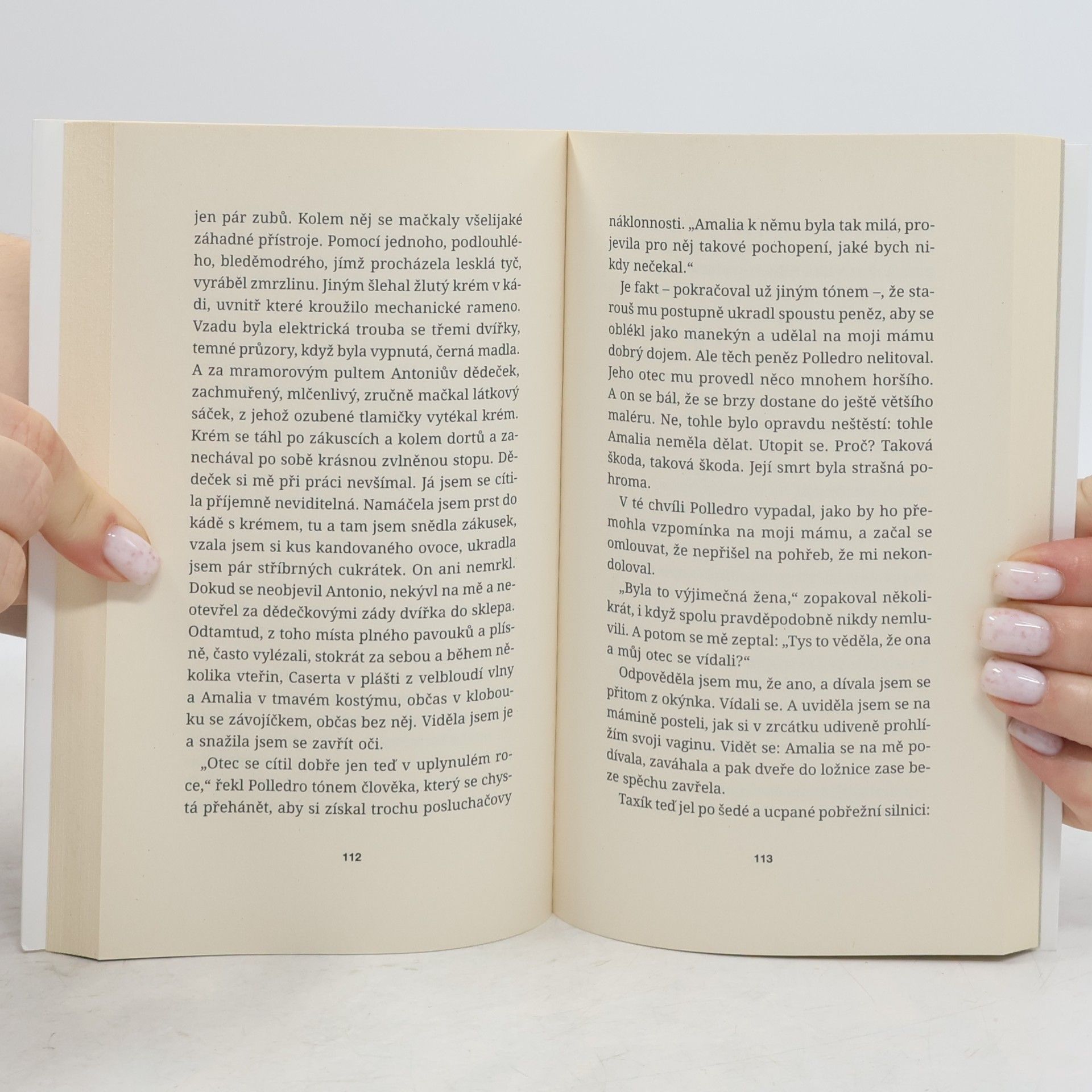 Elena Ferrante Tíživá láska