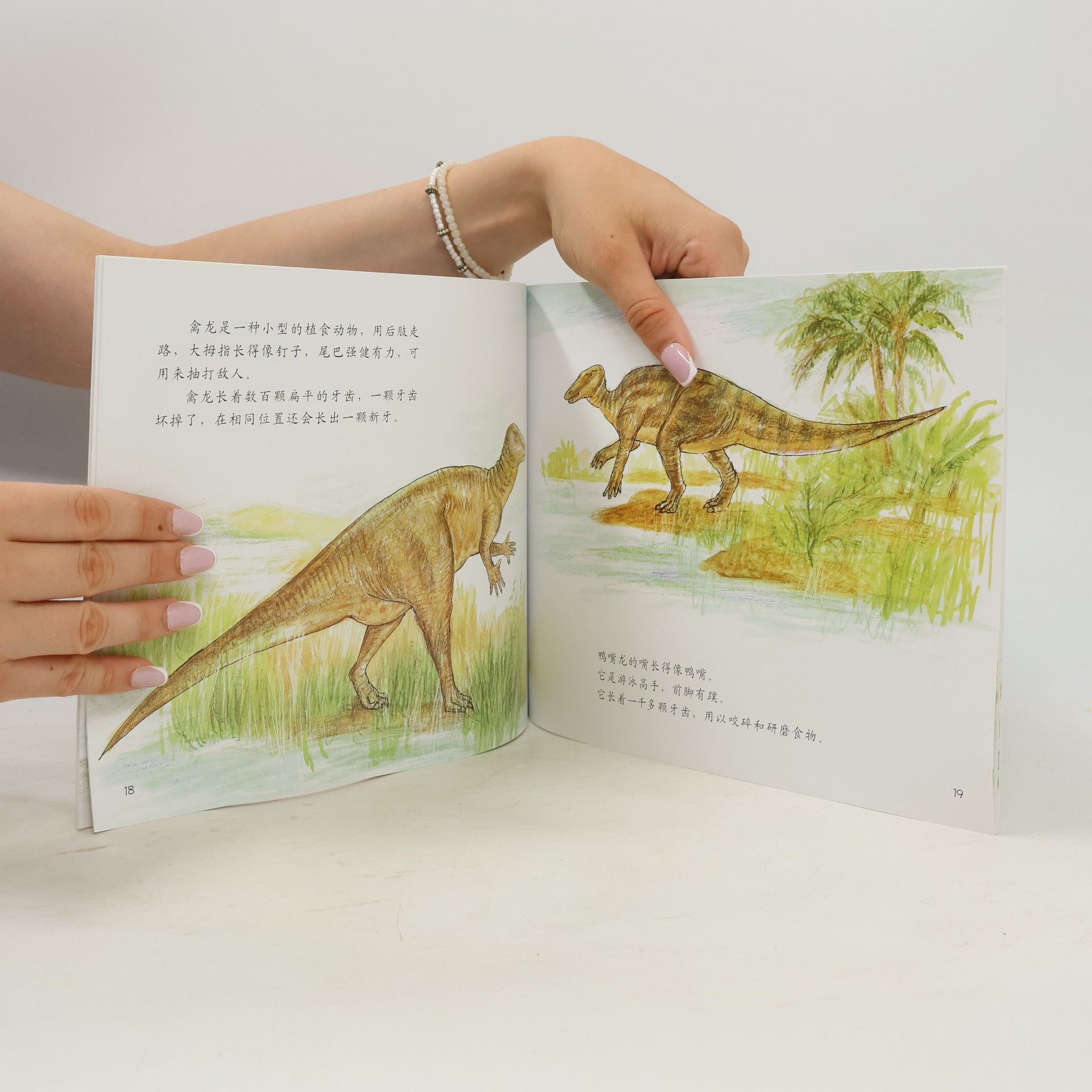 阿莉奇 自然科学启蒙: 认识恐龙 (适合5-9岁阅读)
