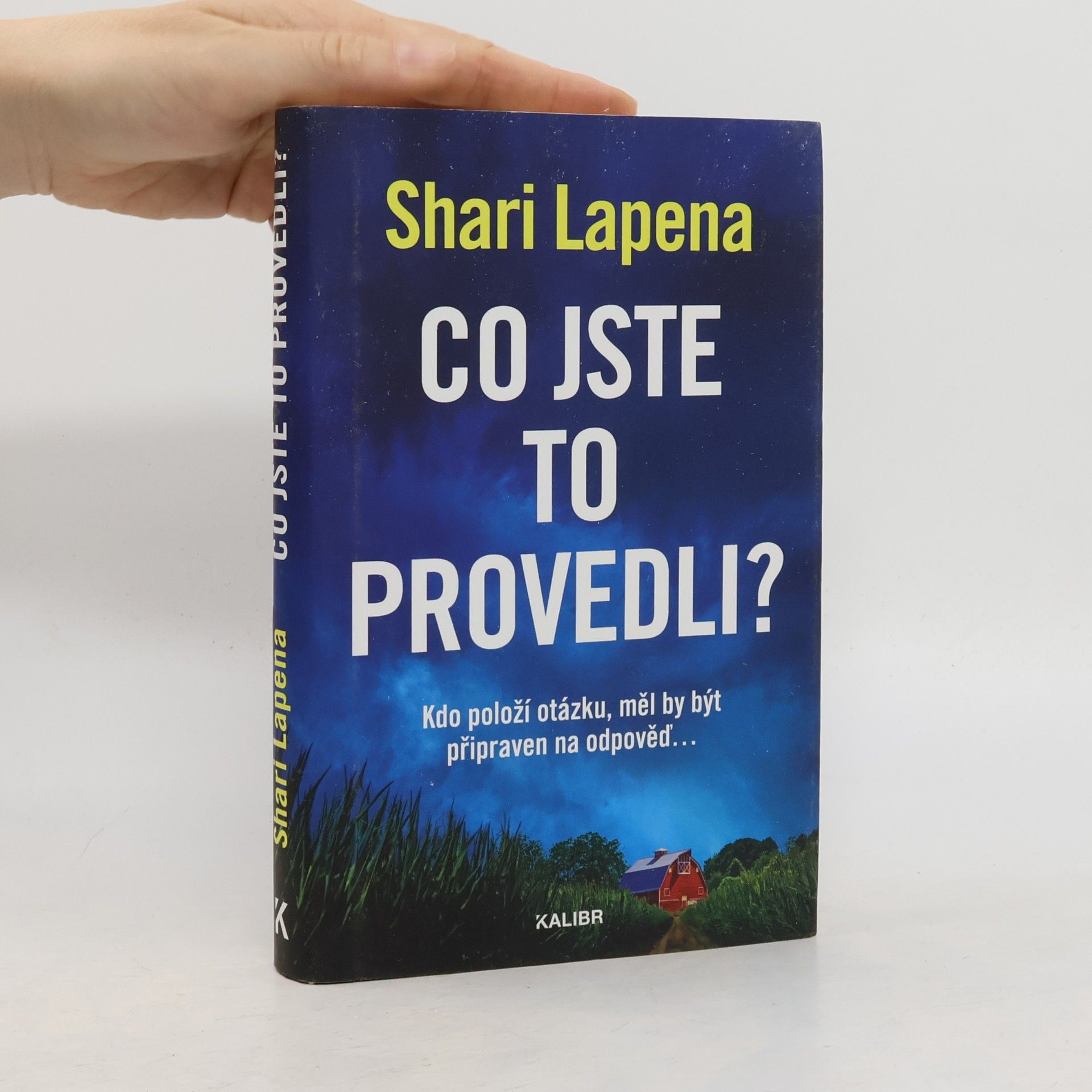 Shari Lapena Co jste to provedli?
