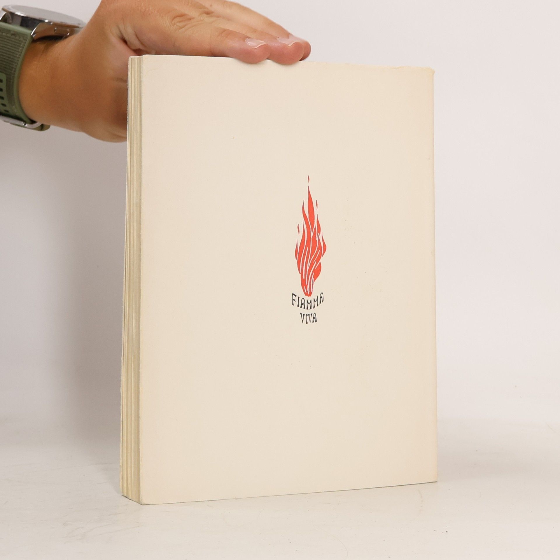 Autorenkollektiv Santa Teresa maestra di orazione