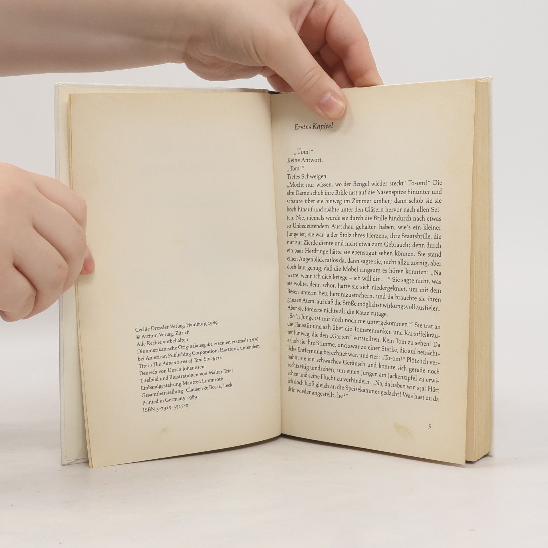 Mark Twain Die Abenteuer des Tom Sawyer
