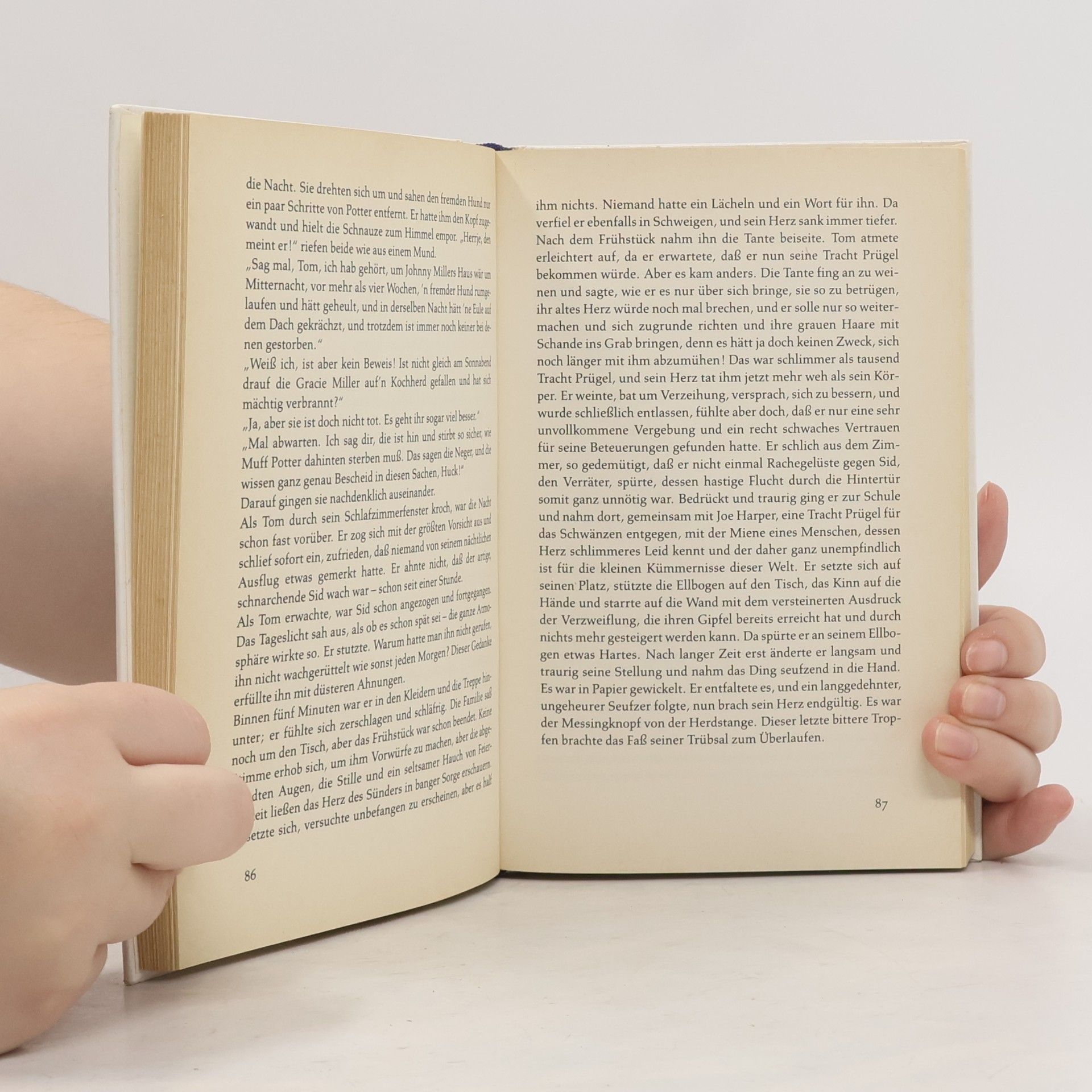 Mark Twain Die Abenteuer des Tom Sawyer