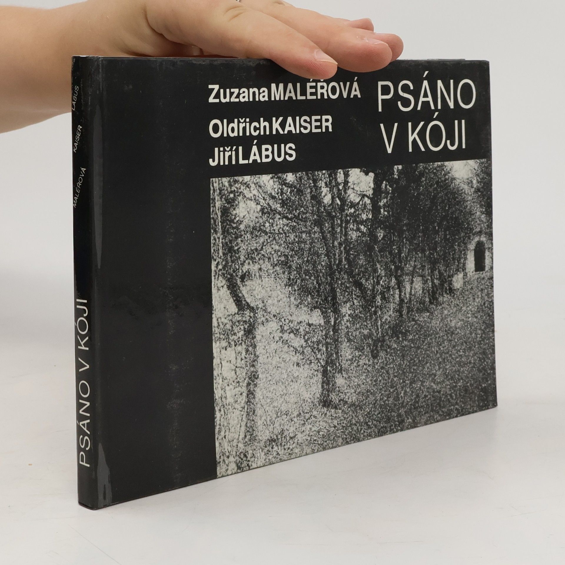 Zuzana Maléřová Psáno v kóji