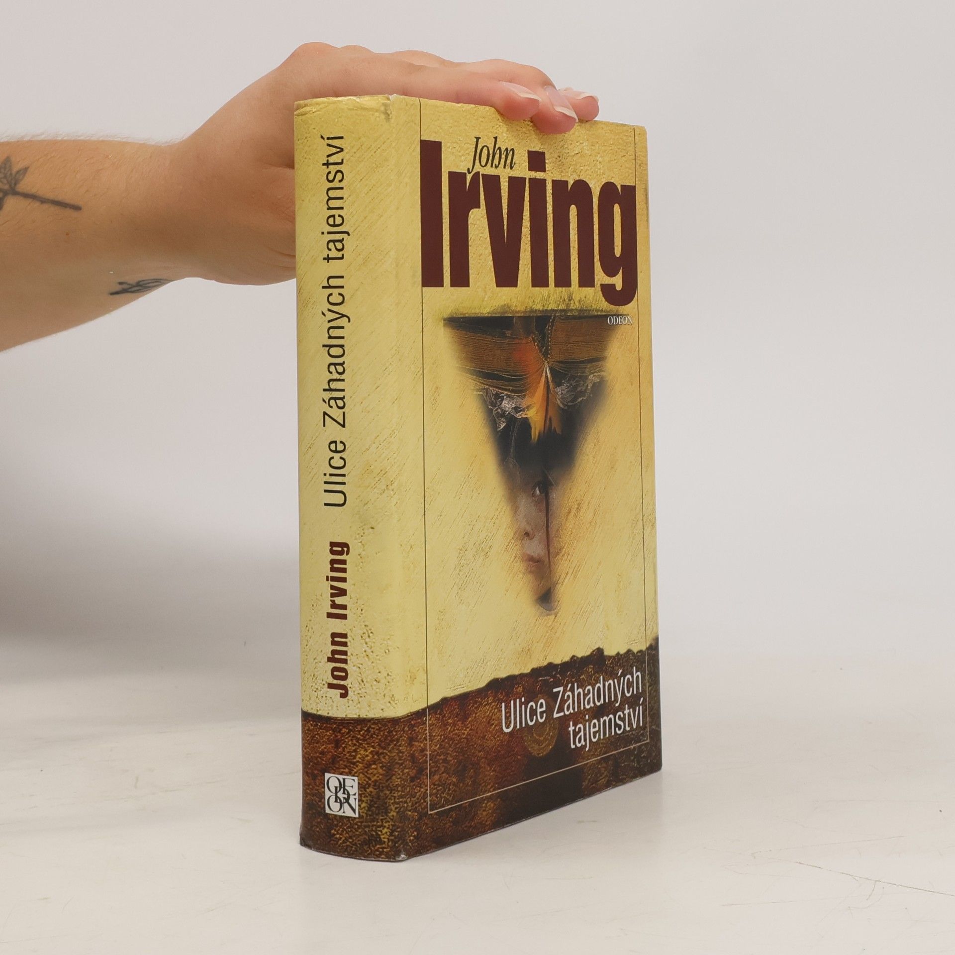 John Irving Ulice Záhadných tajemství