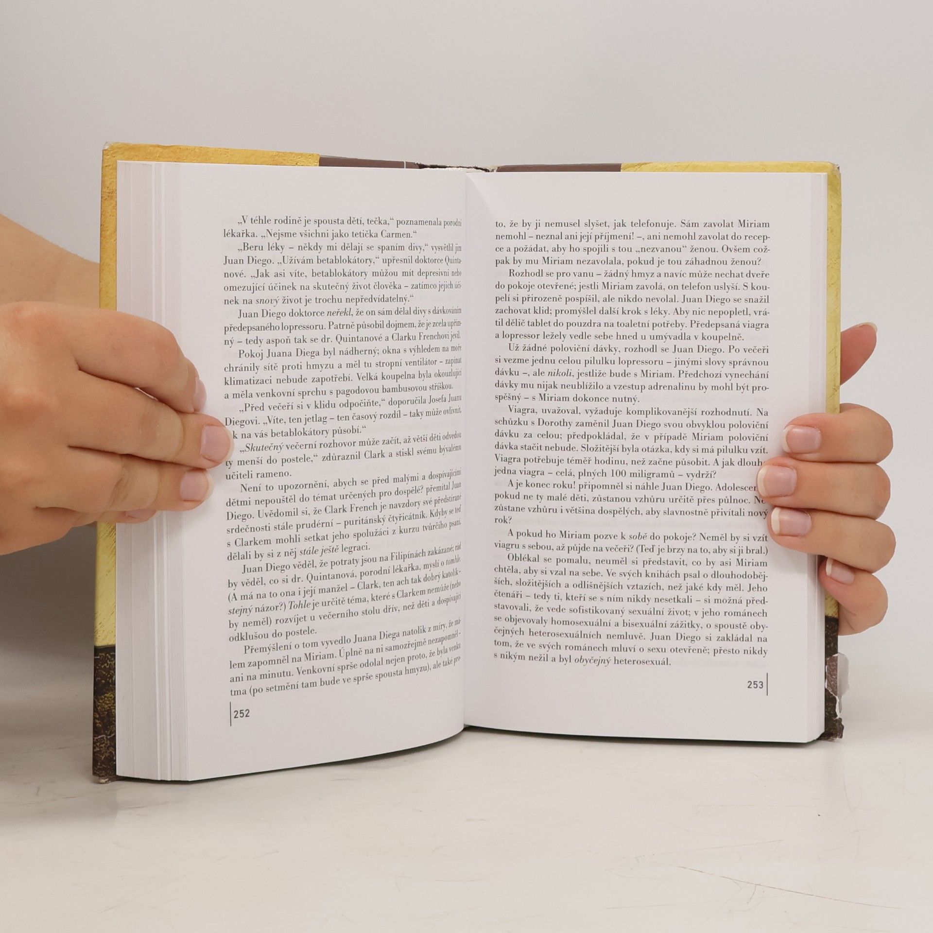 John Irving Ulice Záhadných tajemství