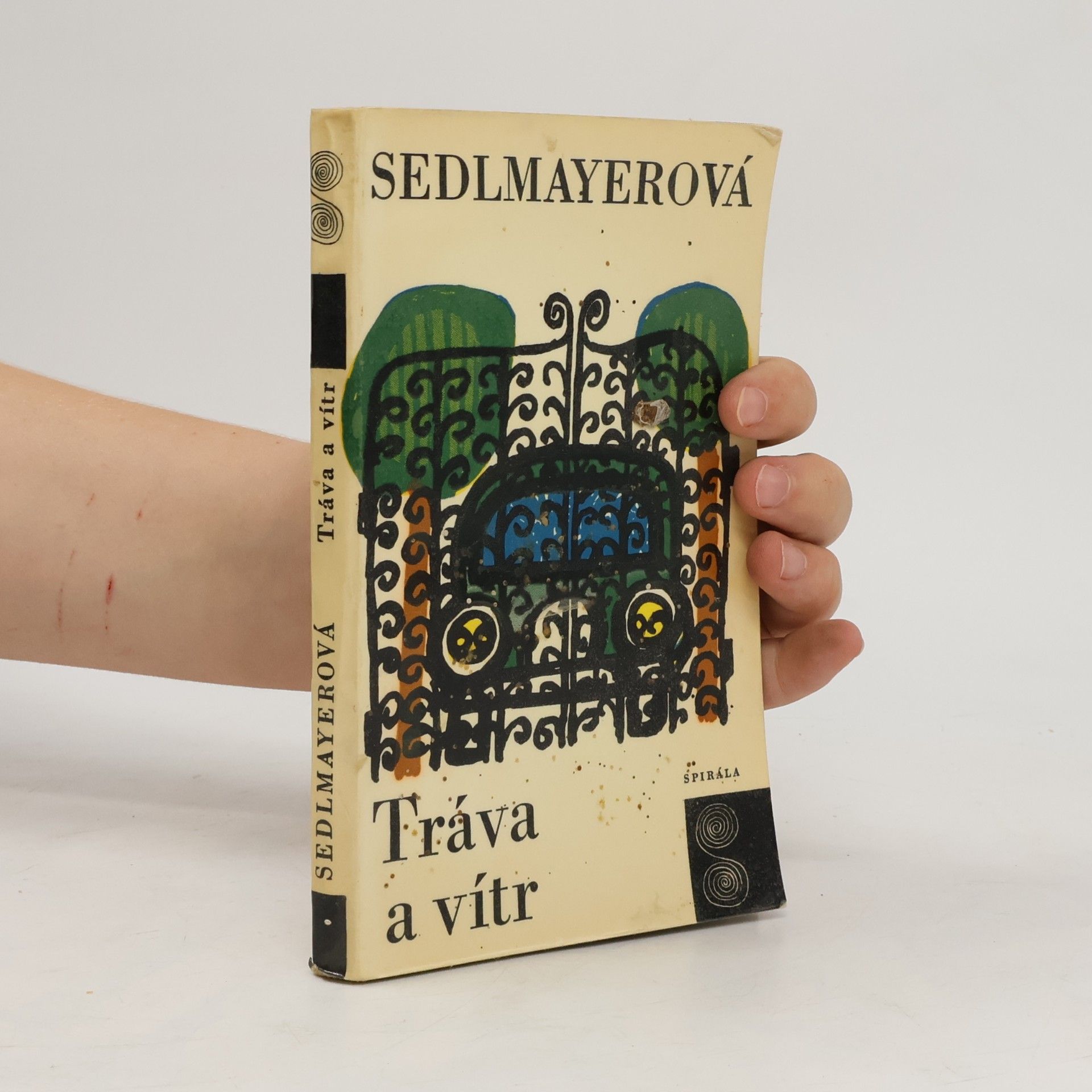 Anna Sedlmayerová Tráva a vítr