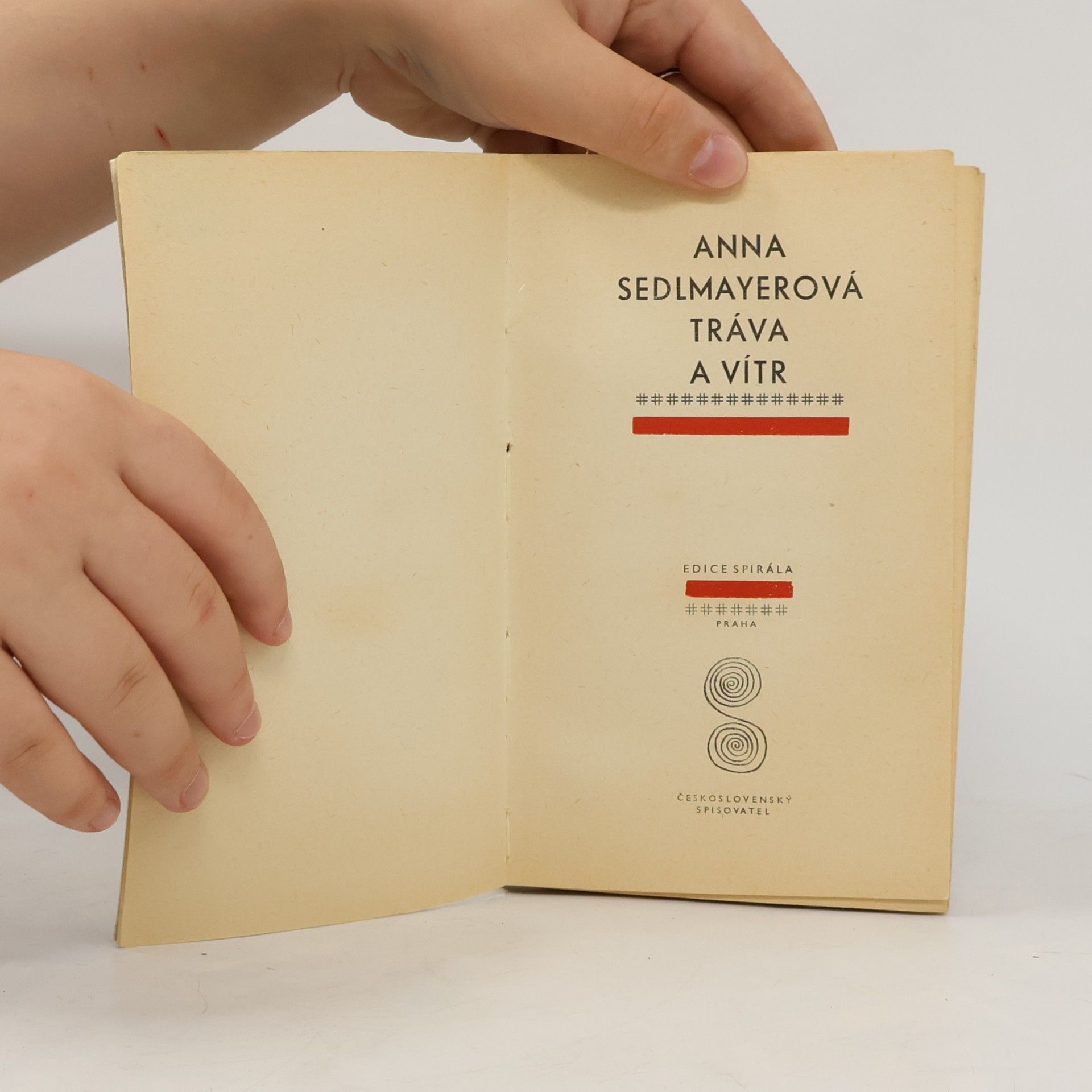 Anna Sedlmayerová Tráva a vítr