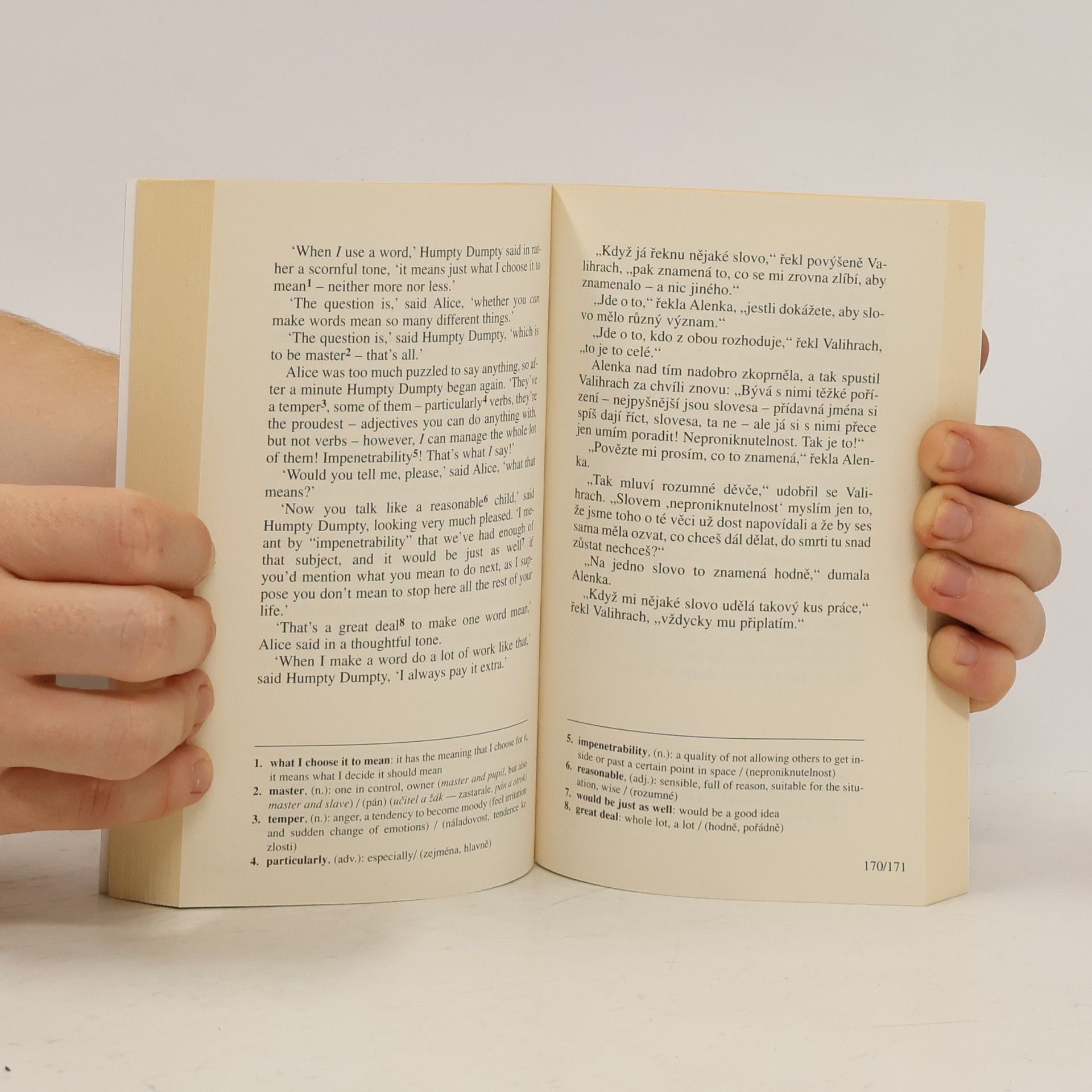 Lewis Carroll Through the looking-glass. Za zrcadlem a s čím se tam Alenka setkala